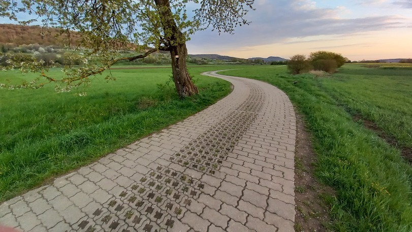 Field Road. Northern Bavaria - Bavaria, Field, Road, Longpost
