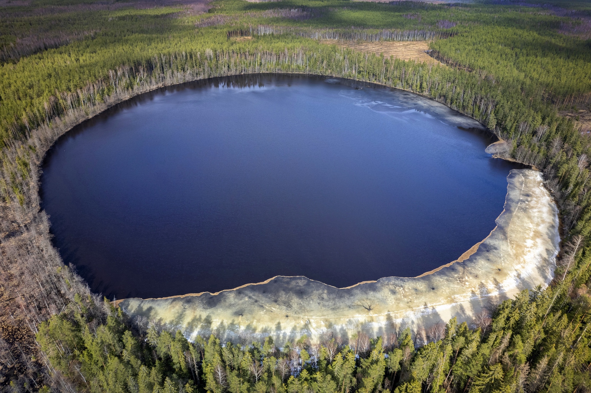 Lake Lyubosivets - Lake, Vologodskaya Oblast, The photo