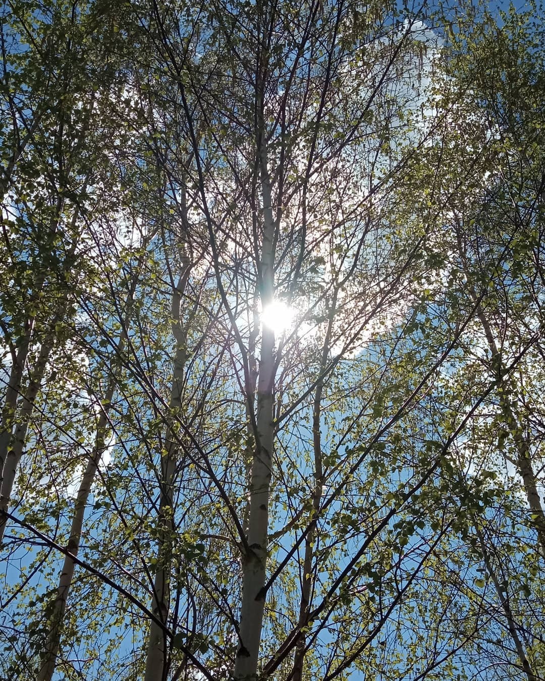 Хорошо на природе - Моё, Велосипед, Велопрогулка, Длиннопост, Фотография