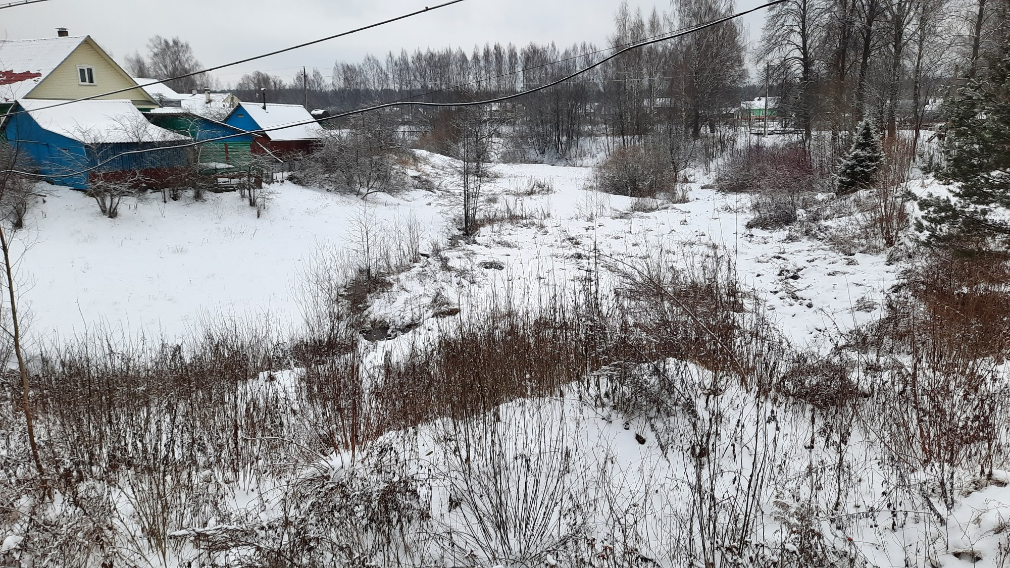 Путешествие в глуши Тверской области. Самый медленный поезд России Земцы —  Жарковский. Часть третья | Пикабу