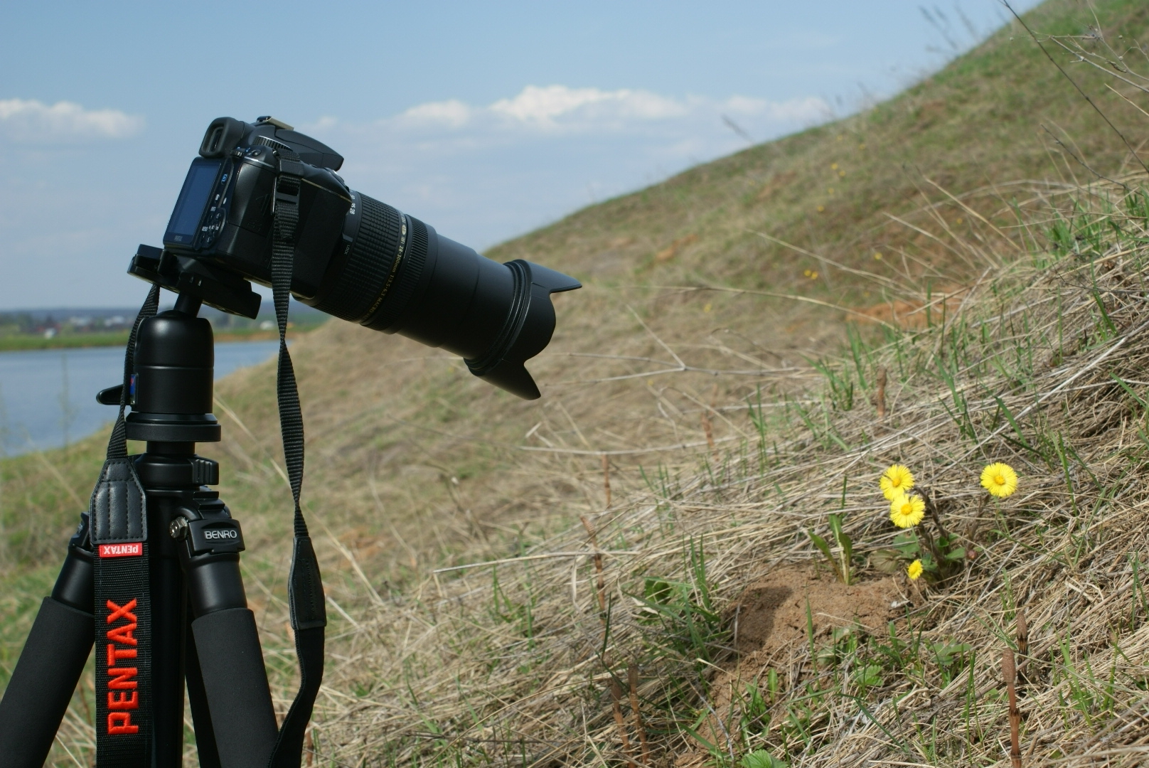 Пришла весна. Пора на охоту - Моё, Весна, Цветы, Sony, Sony a200, Pentax, Pentax K-x