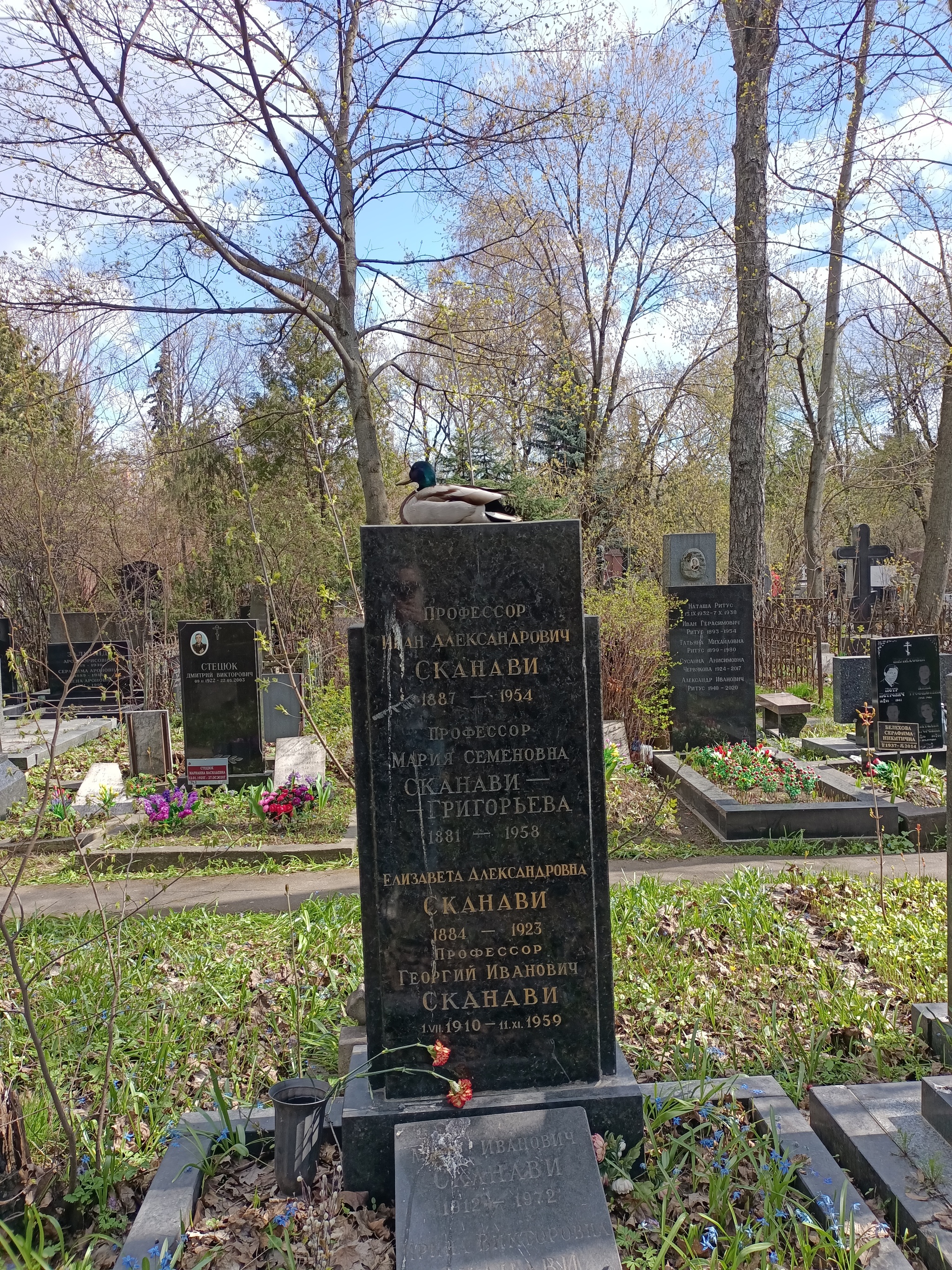 Walk through Novodevichy (cemetery) - My, Cemetery, To be remembered, Vladimir Zhirinovsky, Longpost