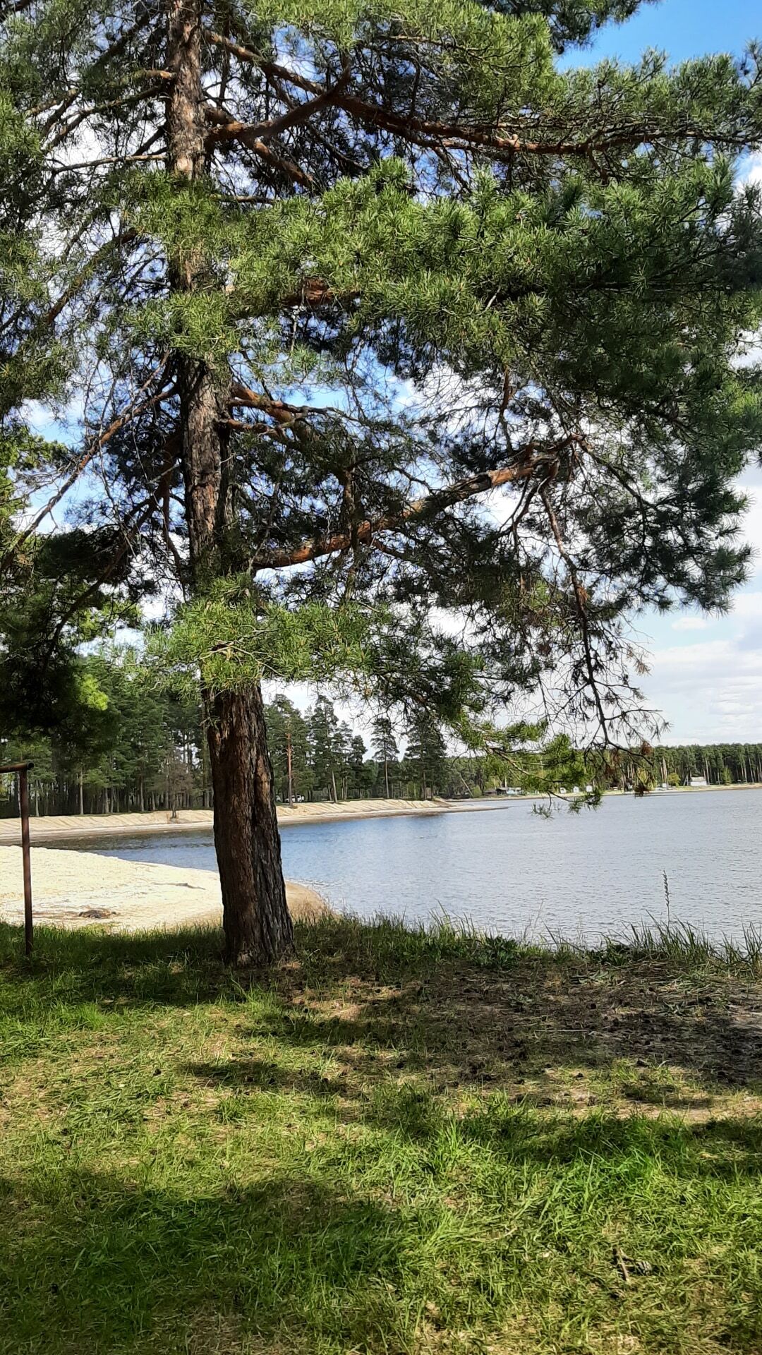 Pine Coast - My, Nature, Spring, May, River, Sky, The photo, beauty, Longpost