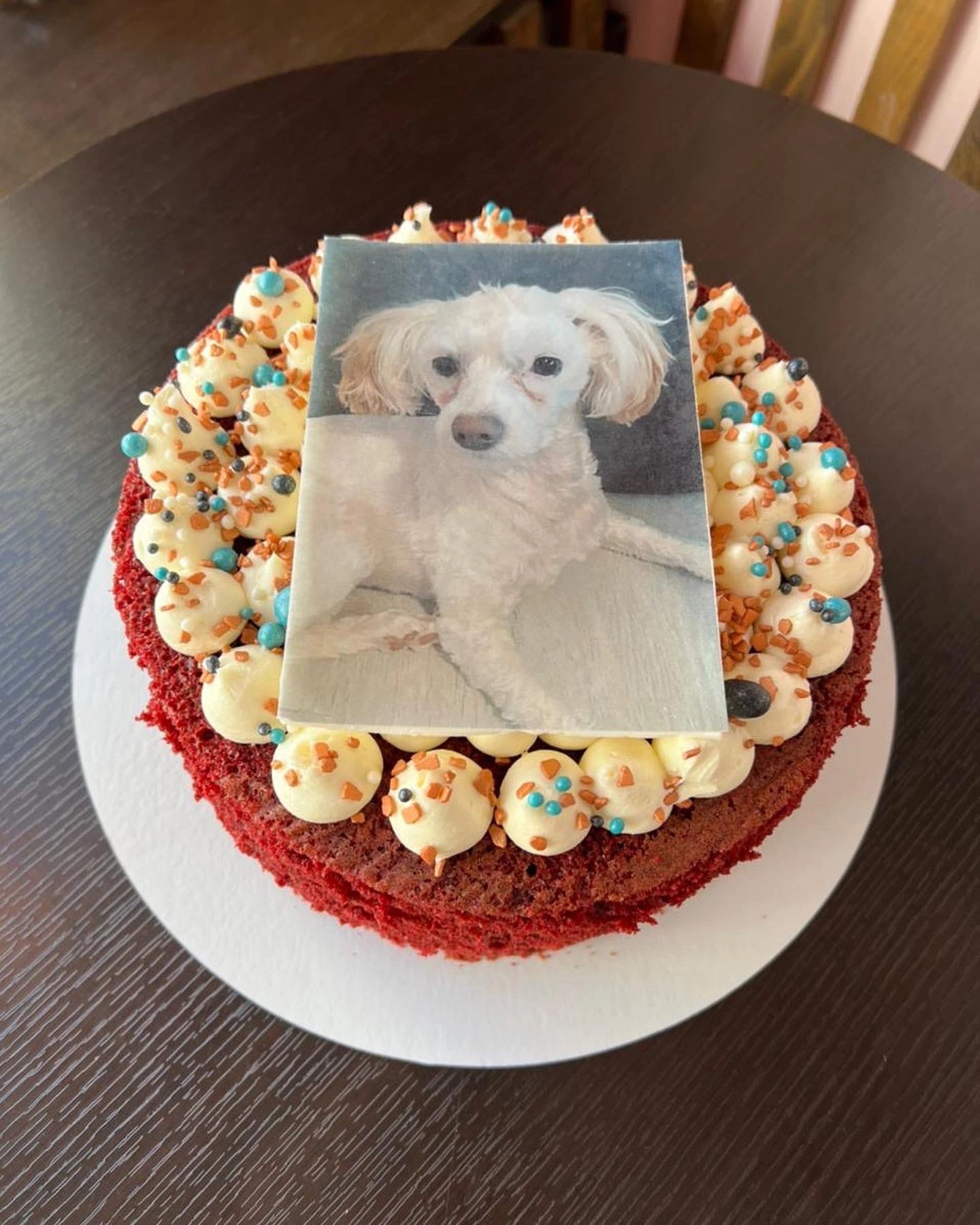 Cakes on the occasion of the birthday of the pet - My, Cake, cat, Dog, Birthday, Moscow, Moscow region, Love, Longpost