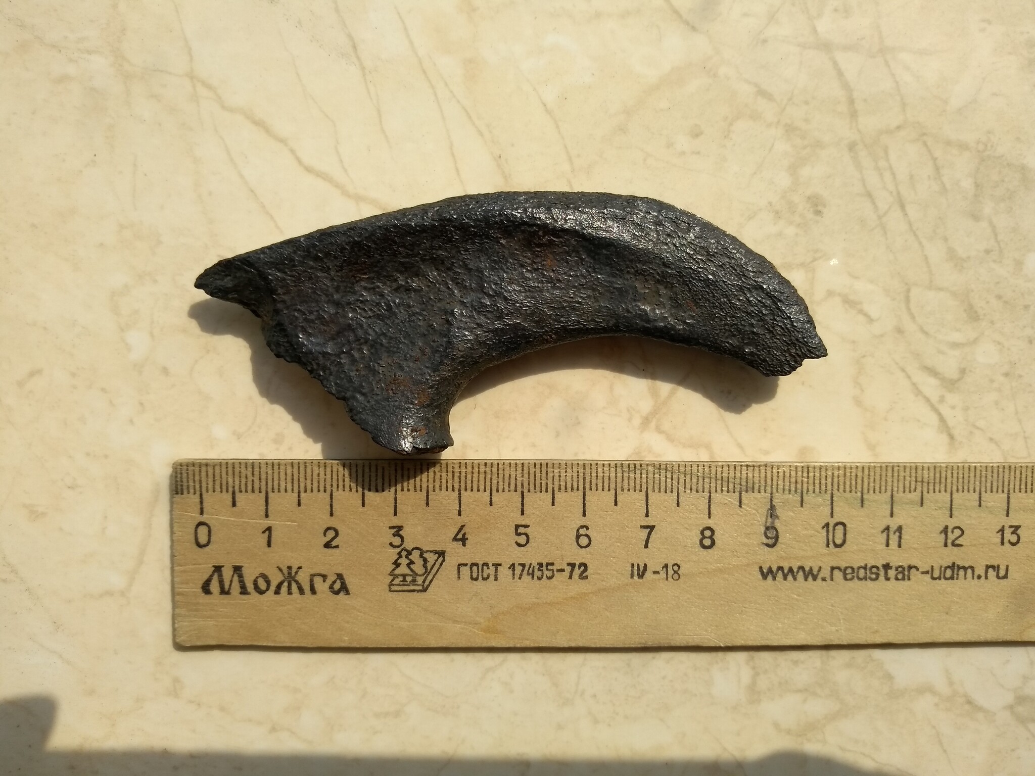 Whose claw? - My, Archaeological finds, Saber-toothed tiger, Remains, Claws, Fossil, Longpost