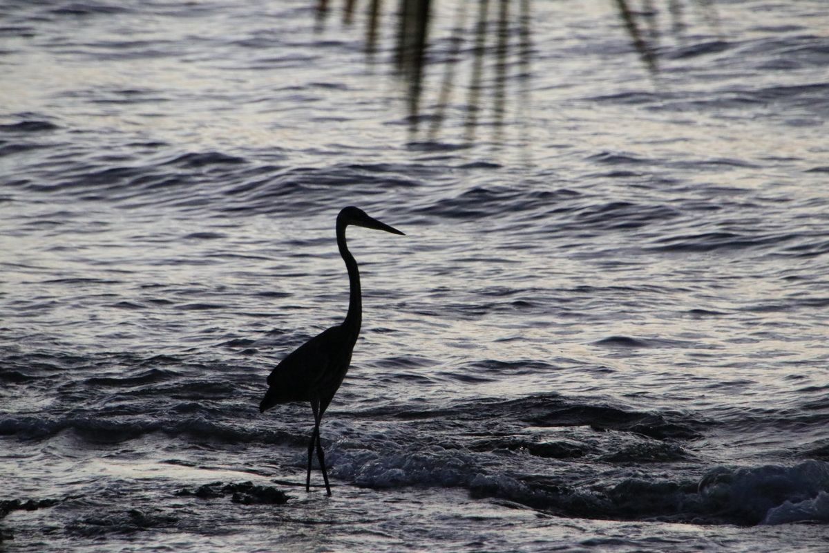 Sunset on Cozumel Island, Mexico - My, Travels, Mexico, Yucatan, Nature, The photo, Sunset