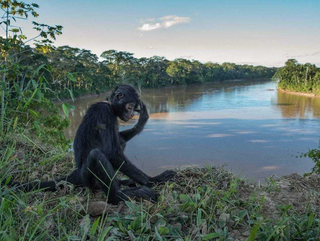 На берегу безымянной реки - 21 век, Homo sapiens, Евразия