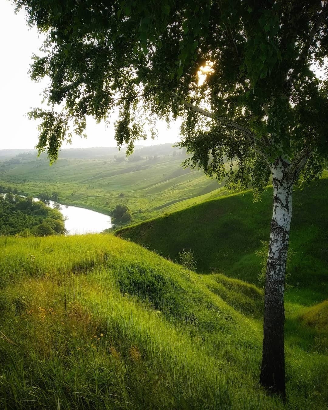 Река Красивая Меча, Тульская область - Природа, Красота природы, Фотография, Река, Тульская область, Красота