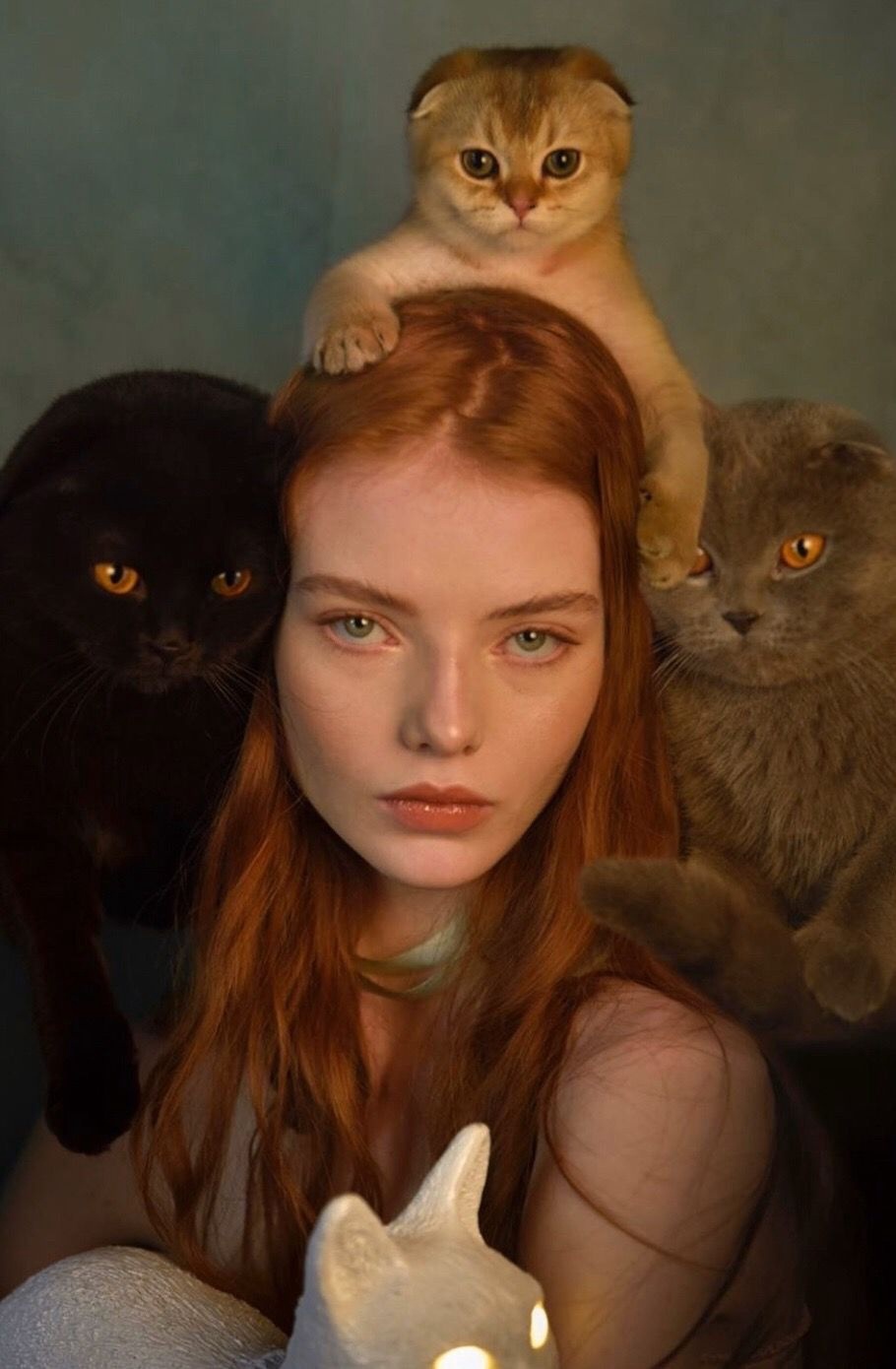 Manipulators - Girls, The photo, cat, Sight, Redheads, Humor