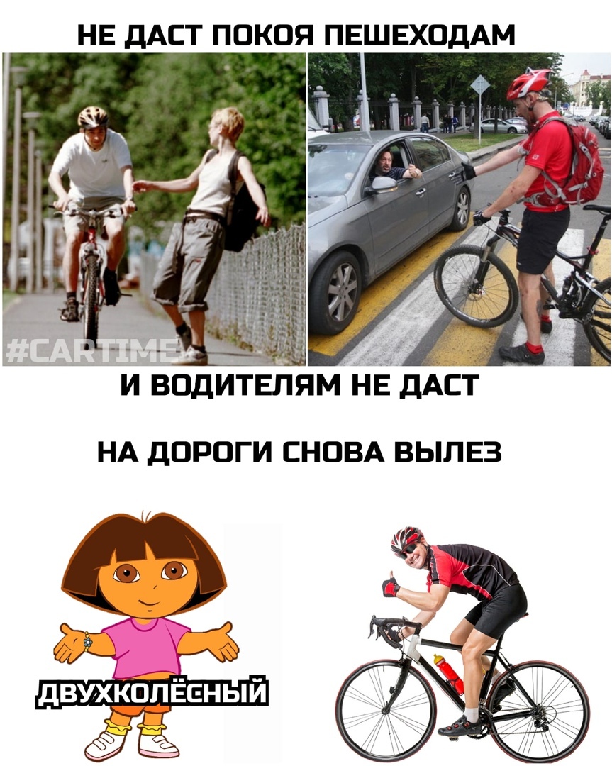 Mystery... - My, Memes, A pedestrian, Driver, Dasha the explorer, Cyclist, Mystery, Picture with text
