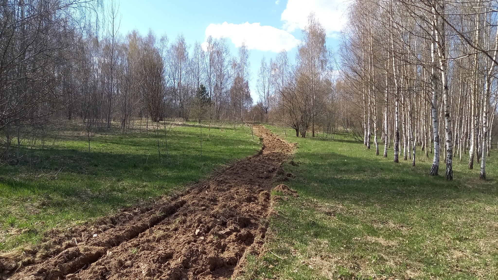 Беларусь, мой край родной - Моё, Республика Беларусь, Живописно, Природа, Минск, Длиннопост