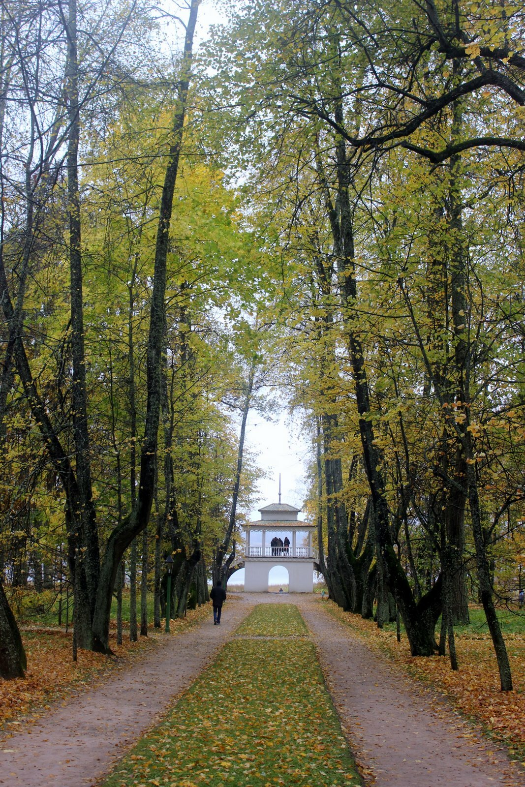 Фотоистория: Петровское, Михайловское, Пушкинские горы | Пикабу