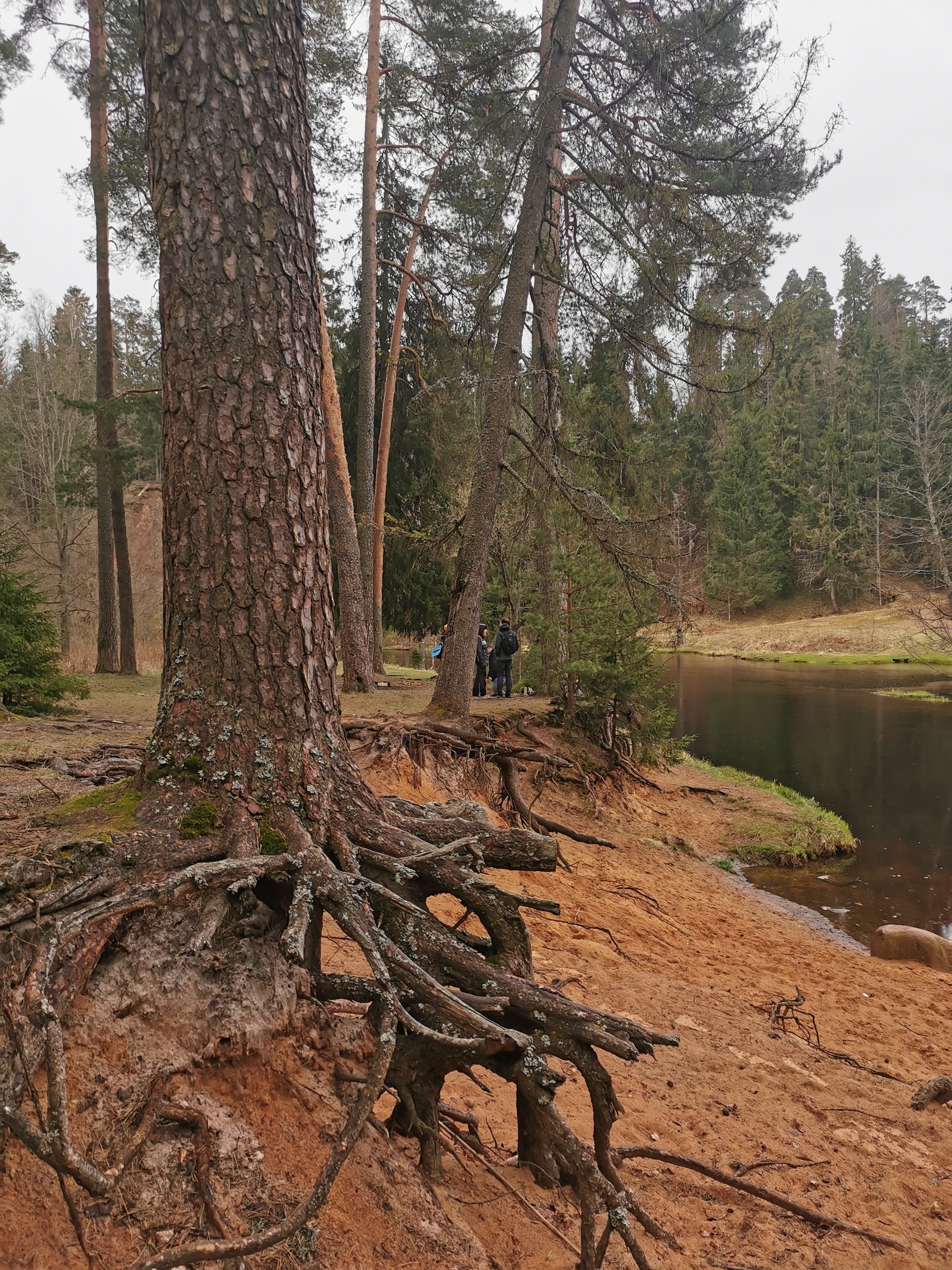 St. Petersburg, hiking along the Oredezh River - My, Company-Lz, Hike, Leningrad region, Girls-Lz, Saint Petersburg, Oredezh, PVD, Forest, Leisure, Longpost