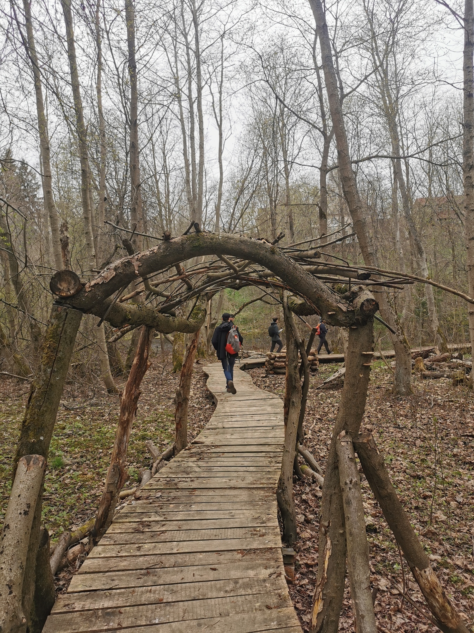 St. Petersburg, hiking along the Oredezh River - My, Company-Lz, Hike, Leningrad region, Girls-Lz, Saint Petersburg, Oredezh, PVD, Forest, Leisure, Longpost