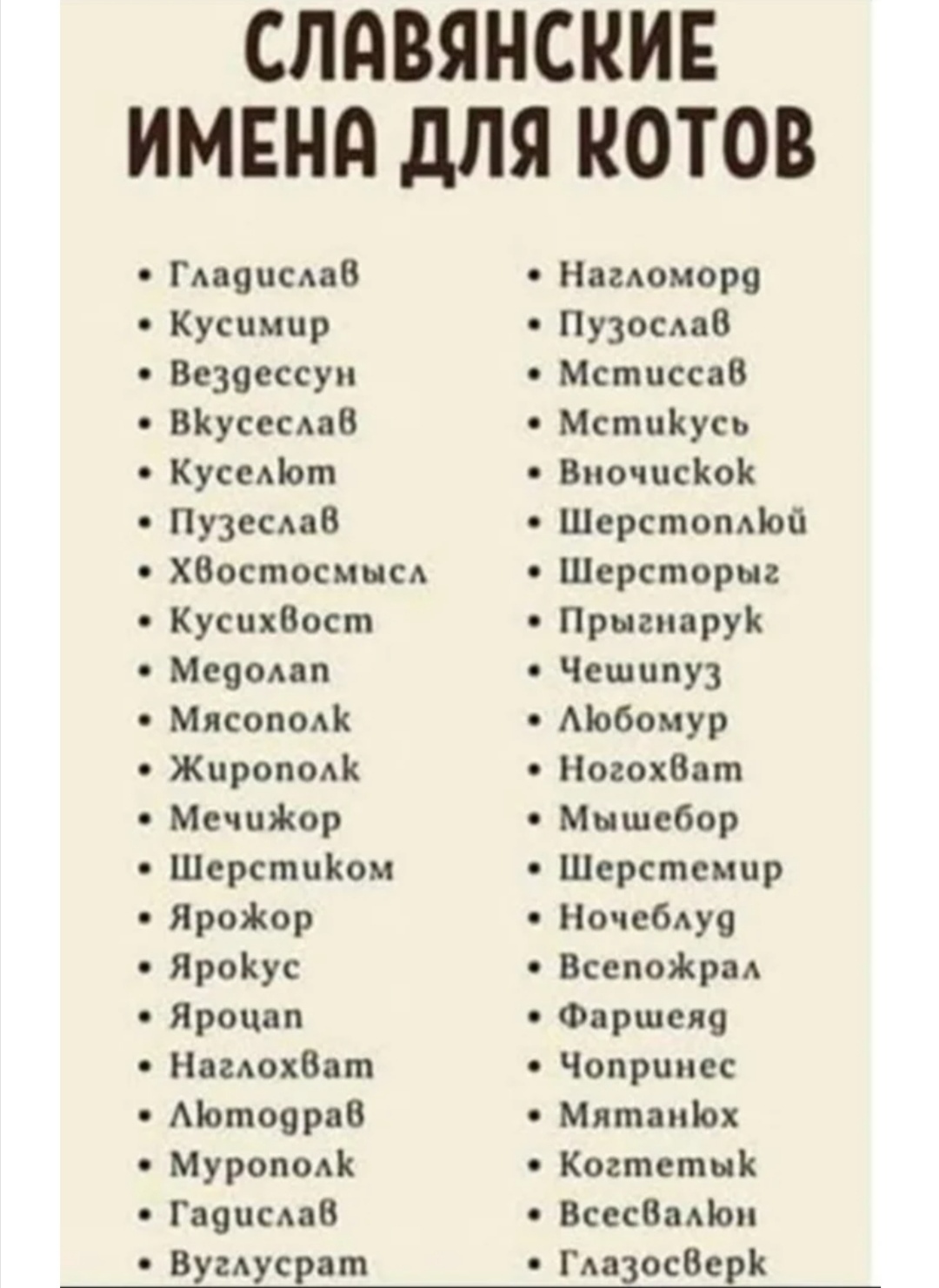 Reminder in case of a cat in the house! - cat, Slavic languages, Humor