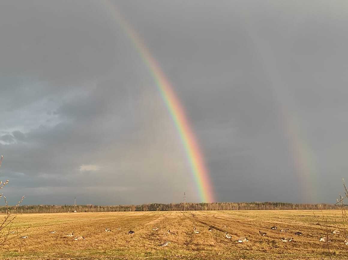 Rainbow - My, Mobile photography, Rainbow