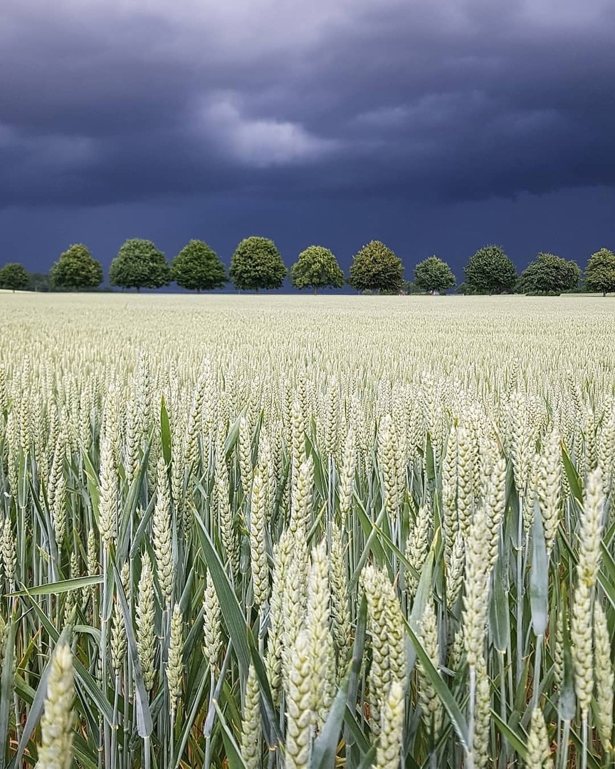 Before the storm! - The clouds, Nature, Before the storm, beauty, The photo