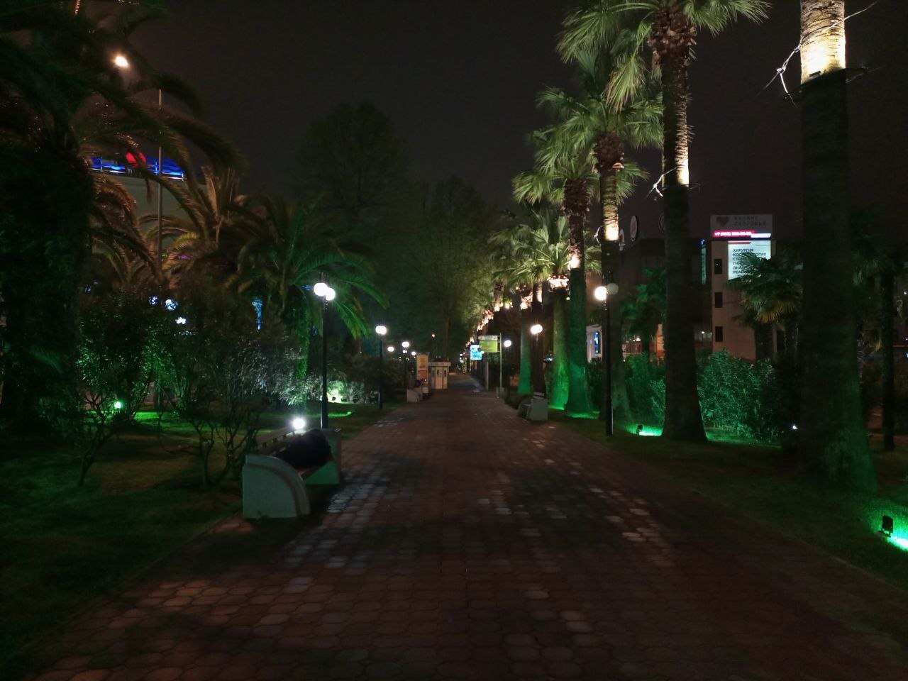 Walks around Sochi - My, Sochi, The photo, Mobile photography, Night, Night shooting, The street, Street photography, Night city, Walk, City walk, Palm trees, Lighting