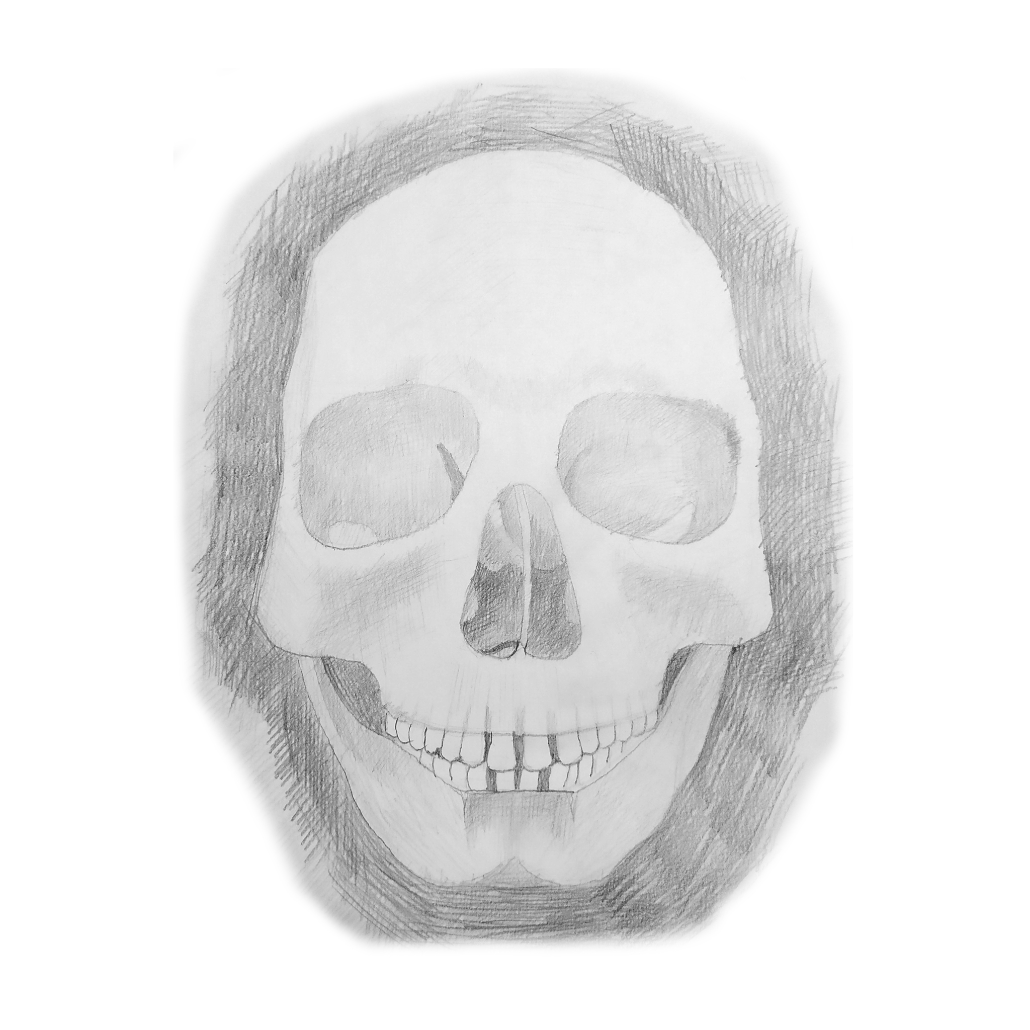 I draw skulls - My, Drawing, Painting, Scull, Anatomy, Drawing process, Sketch, Beginner artist, Illustrations, Sketch, Longpost