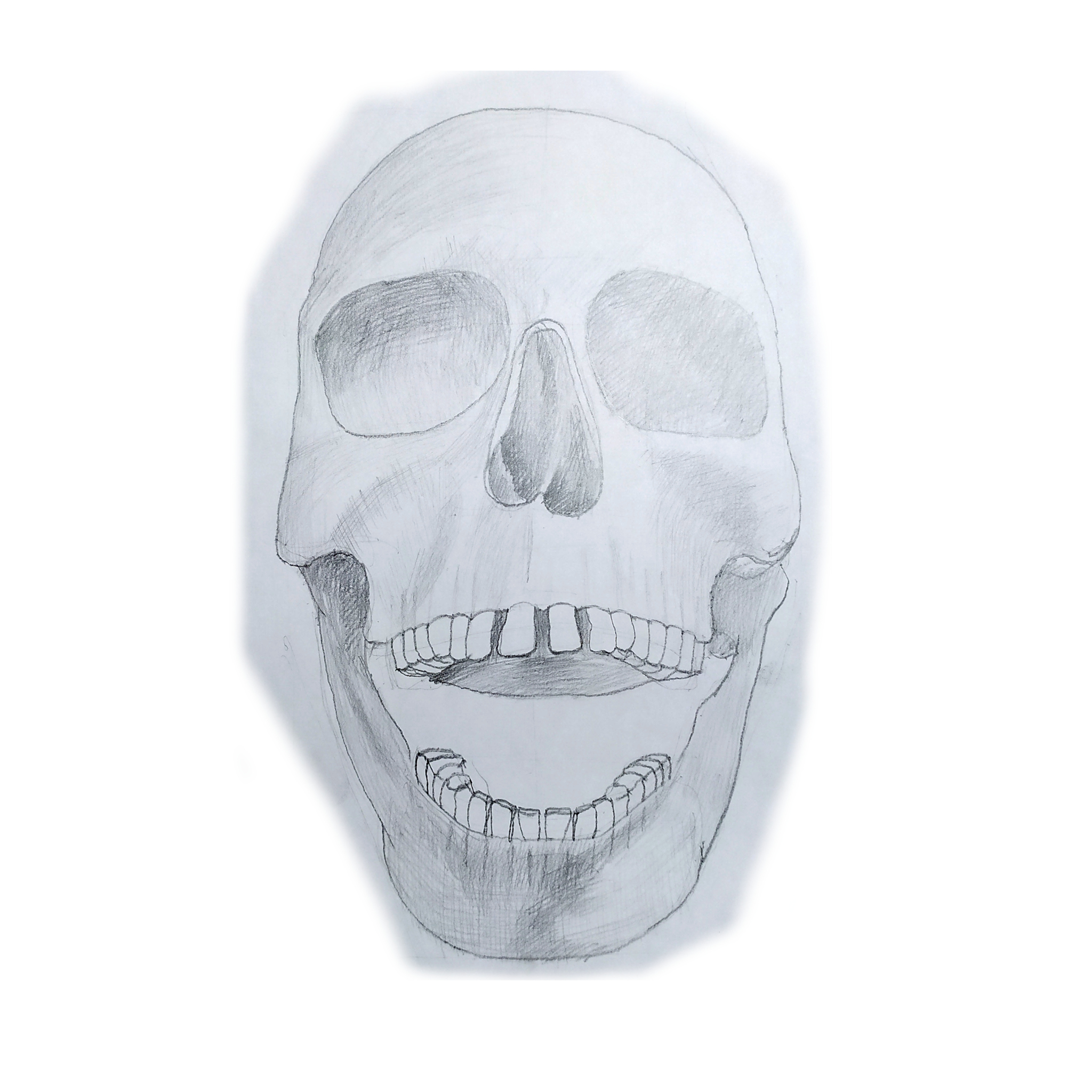 I draw skulls - My, Drawing, Painting, Scull, Anatomy, Drawing process, Sketch, Beginner artist, Illustrations, Sketch, Longpost