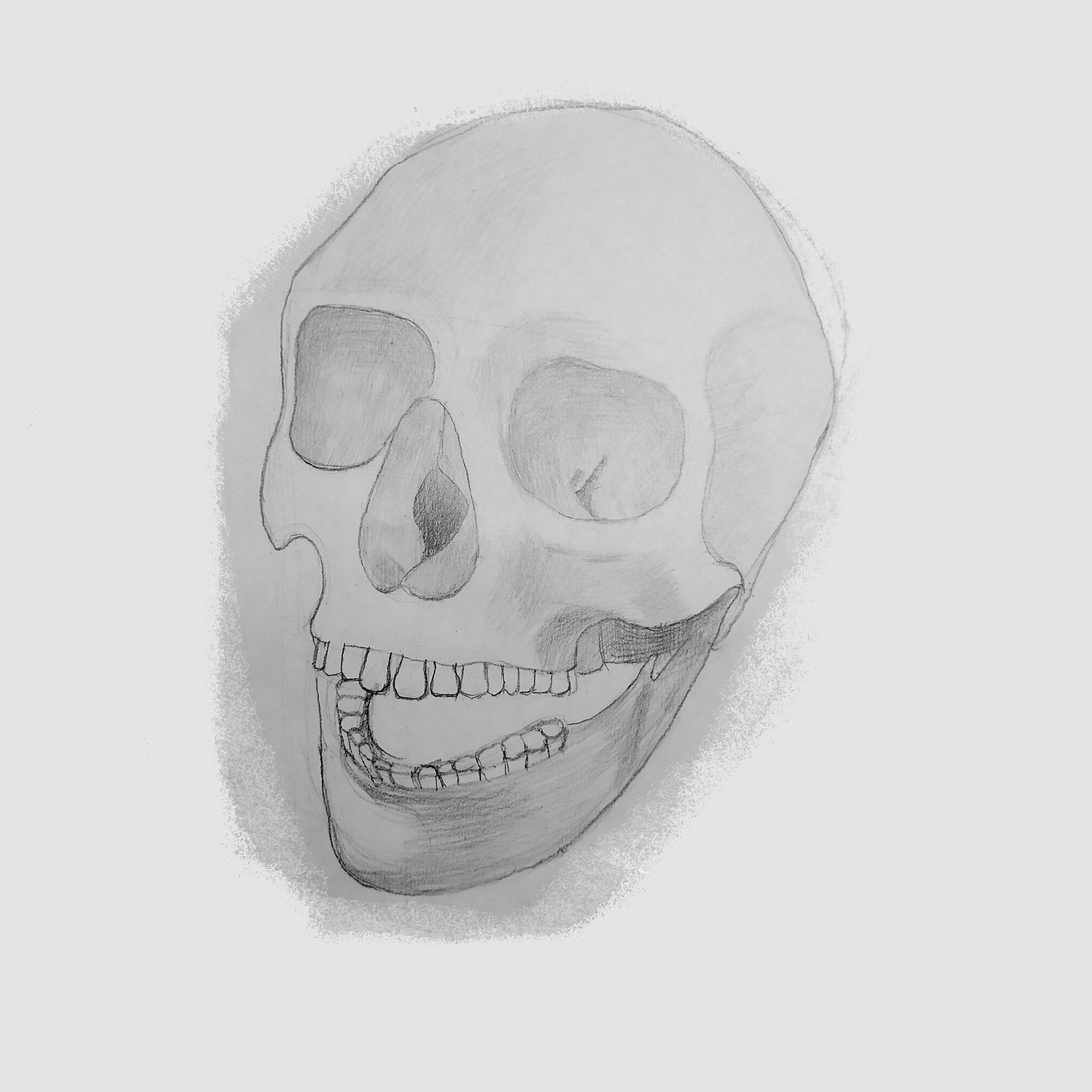 I draw skulls - My, Drawing, Painting, Scull, Anatomy, Drawing process, Sketch, Beginner artist, Illustrations, Sketch, Longpost