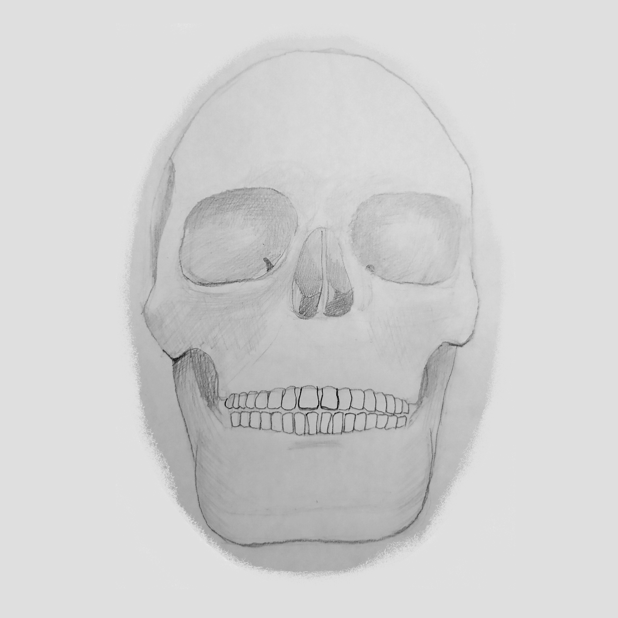 I draw skulls - My, Drawing, Painting, Scull, Anatomy, Drawing process, Sketch, Beginner artist, Illustrations, Sketch, Longpost