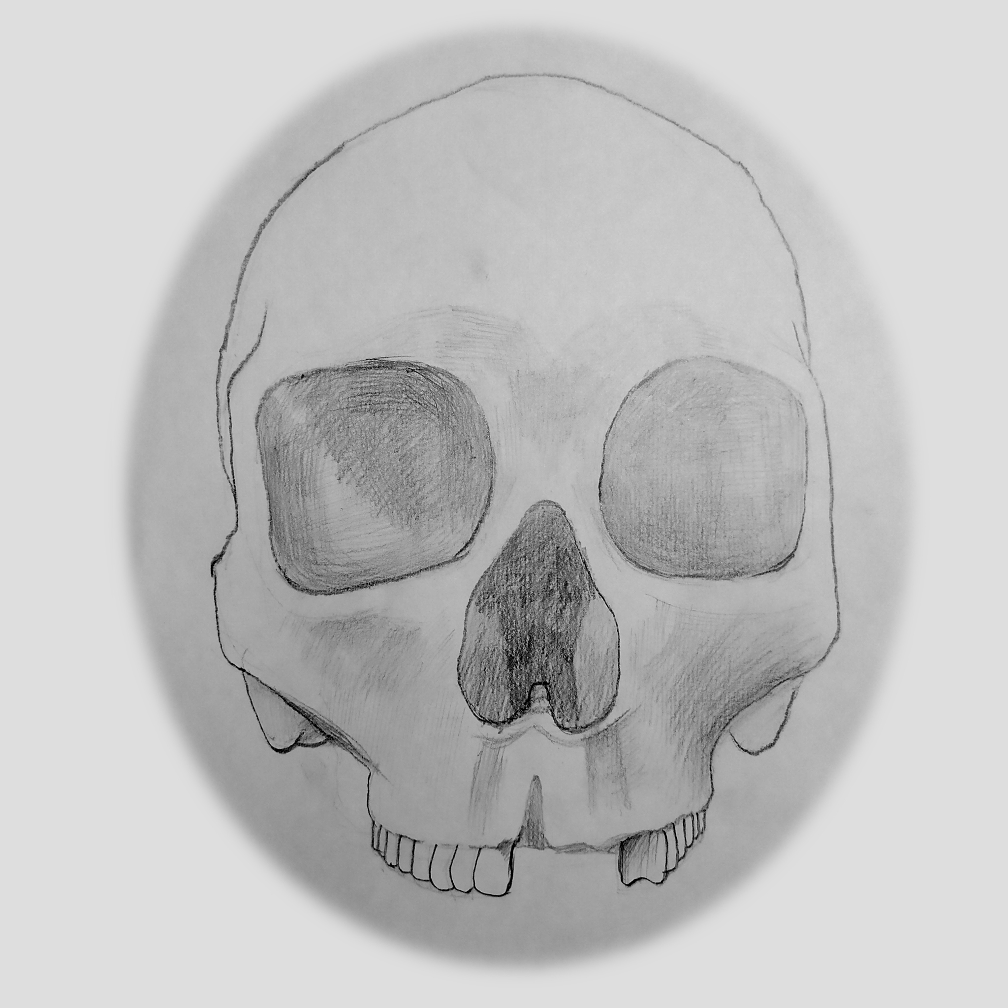 I draw skulls - My, Drawing, Painting, Scull, Anatomy, Drawing process, Sketch, Beginner artist, Illustrations, Sketch, Longpost