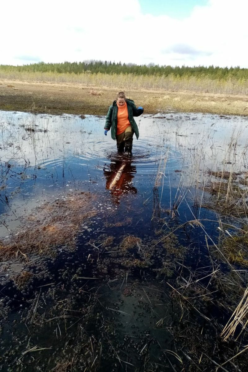 Мшинские болота знает отлично - Лиза Алерт, Добровольцы, Длиннопост