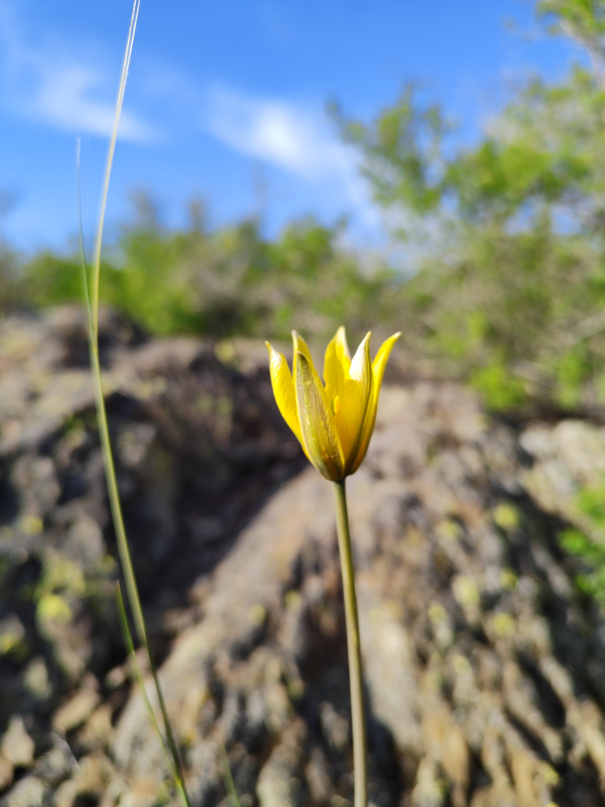 May weekend - My, beauty of nature, Spring, Longpost, The photo