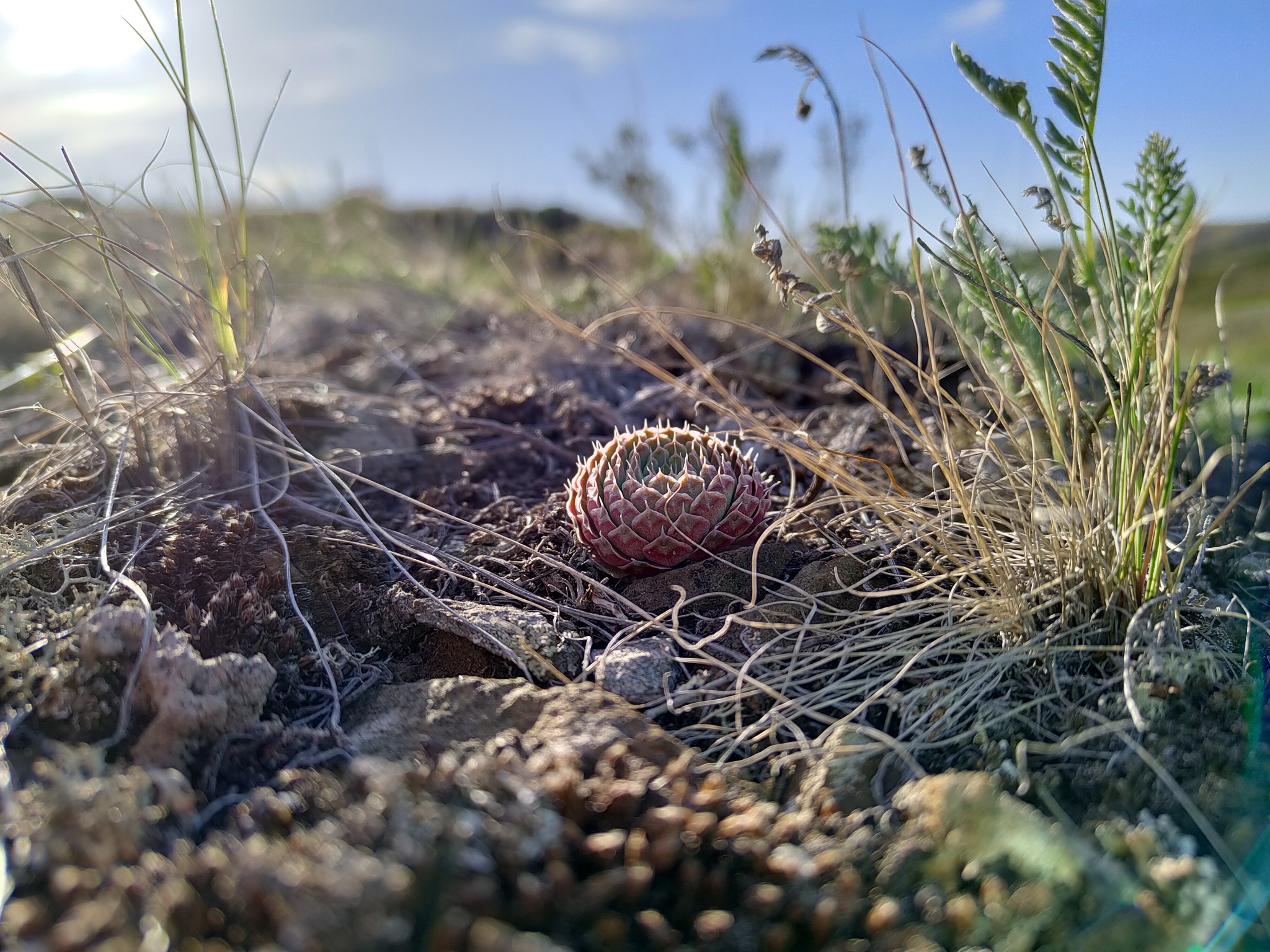 Майские выходные - Моё, Красота природы, Весна, Длиннопост, Фотография