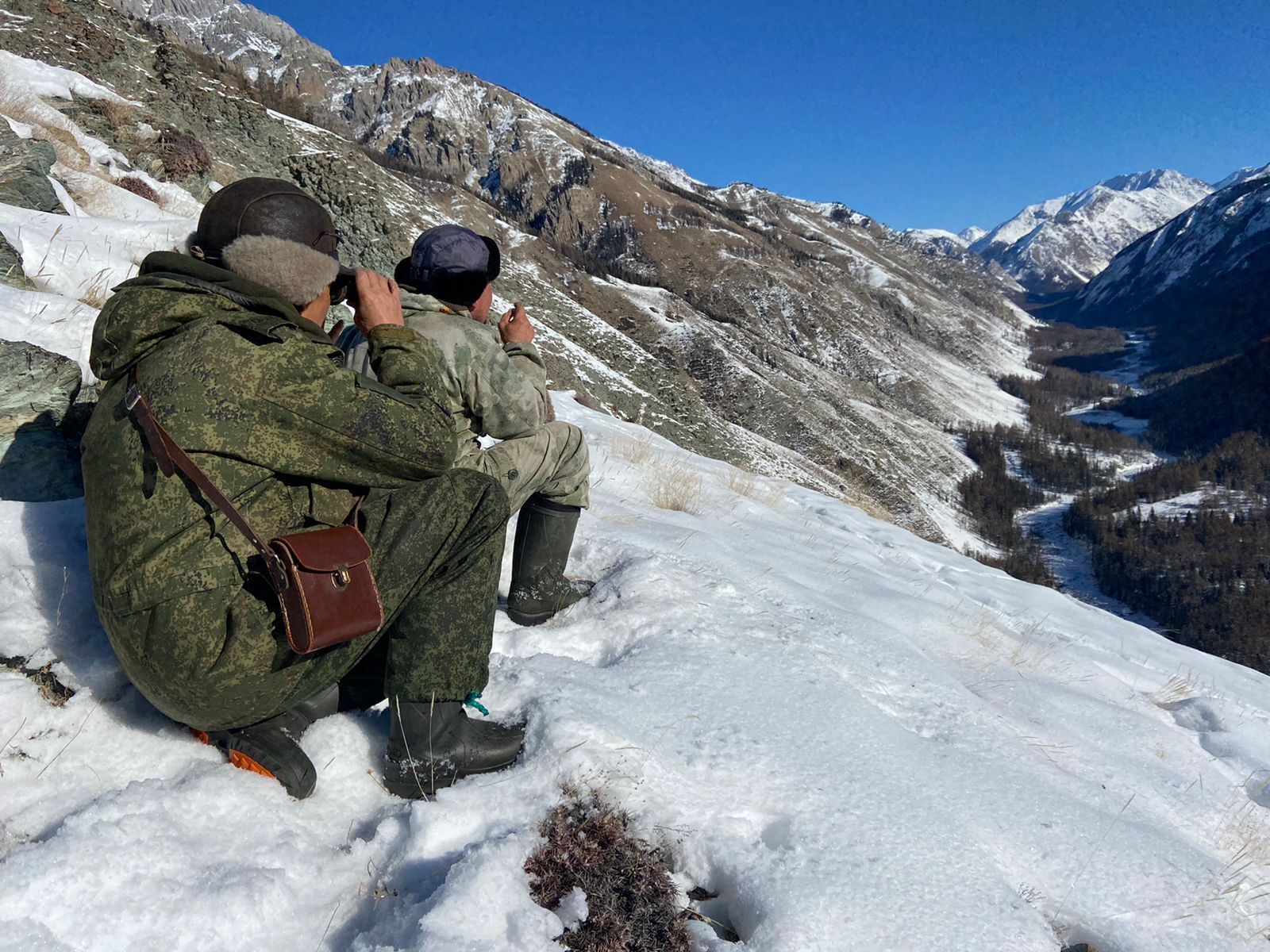 The number of snow leopards in Altai is stable - Snow Leopard, Big cats, Cat family, Predatory animals, Rare view, Red Book, Species conservation, Altai Republic, WWF, National park, Reserves and sanctuaries, Interesting, Informative, Animal protection, Phototrap, Video, Vertical video, Longpost