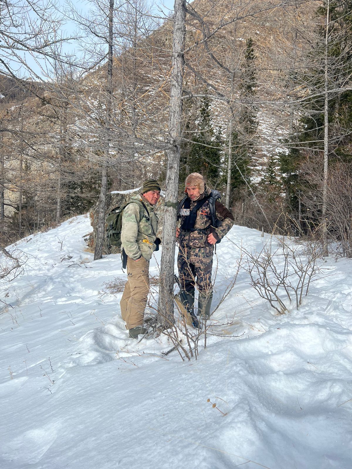 The number of snow leopards in Altai is stable - Snow Leopard, Big cats, Cat family, Predatory animals, Rare view, Red Book, Species conservation, Altai Republic, WWF, National park, Reserves and sanctuaries, Interesting, Informative, Animal protection, Phototrap, Video, Vertical video, Longpost