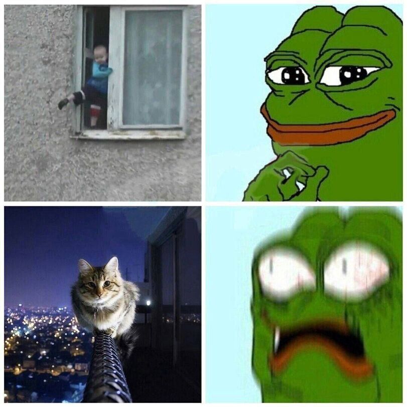 Vital - cat, Humor, Memes, Pepe, Children, Vital