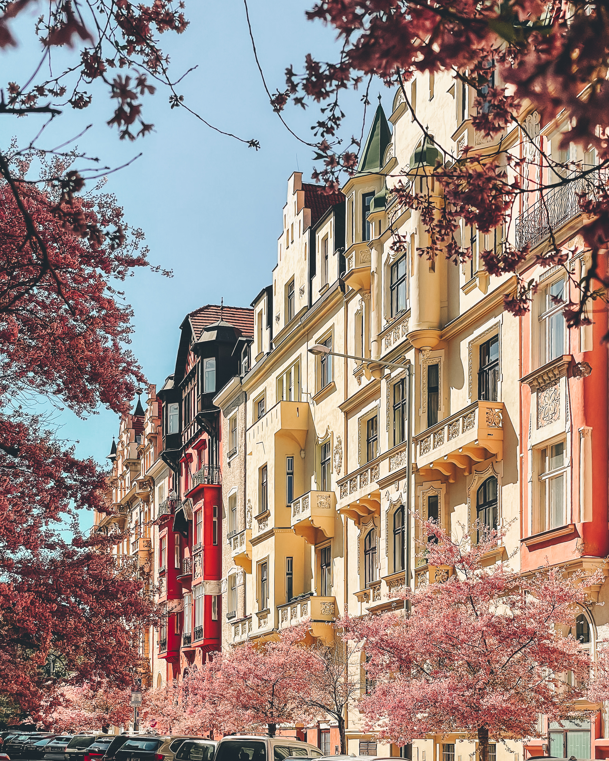 Flowering trees on Na vihance street in Prague's Vinohrady district - My, Czech, Prague, The photo, Spring, Bloom, Longpost