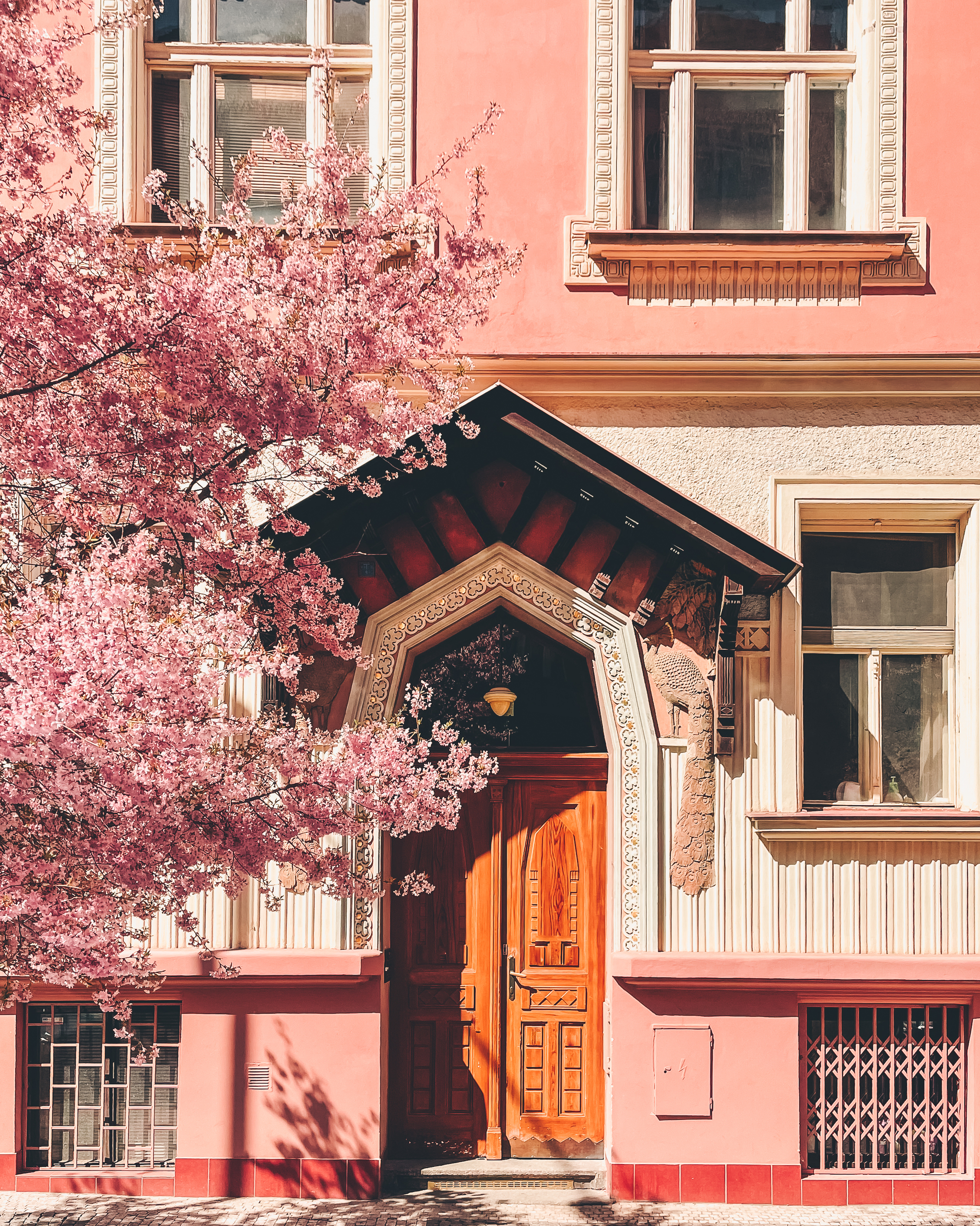 Flowering trees on Na vihance street in Prague's Vinohrady district - My, Czech, Prague, The photo, Spring, Bloom, Longpost