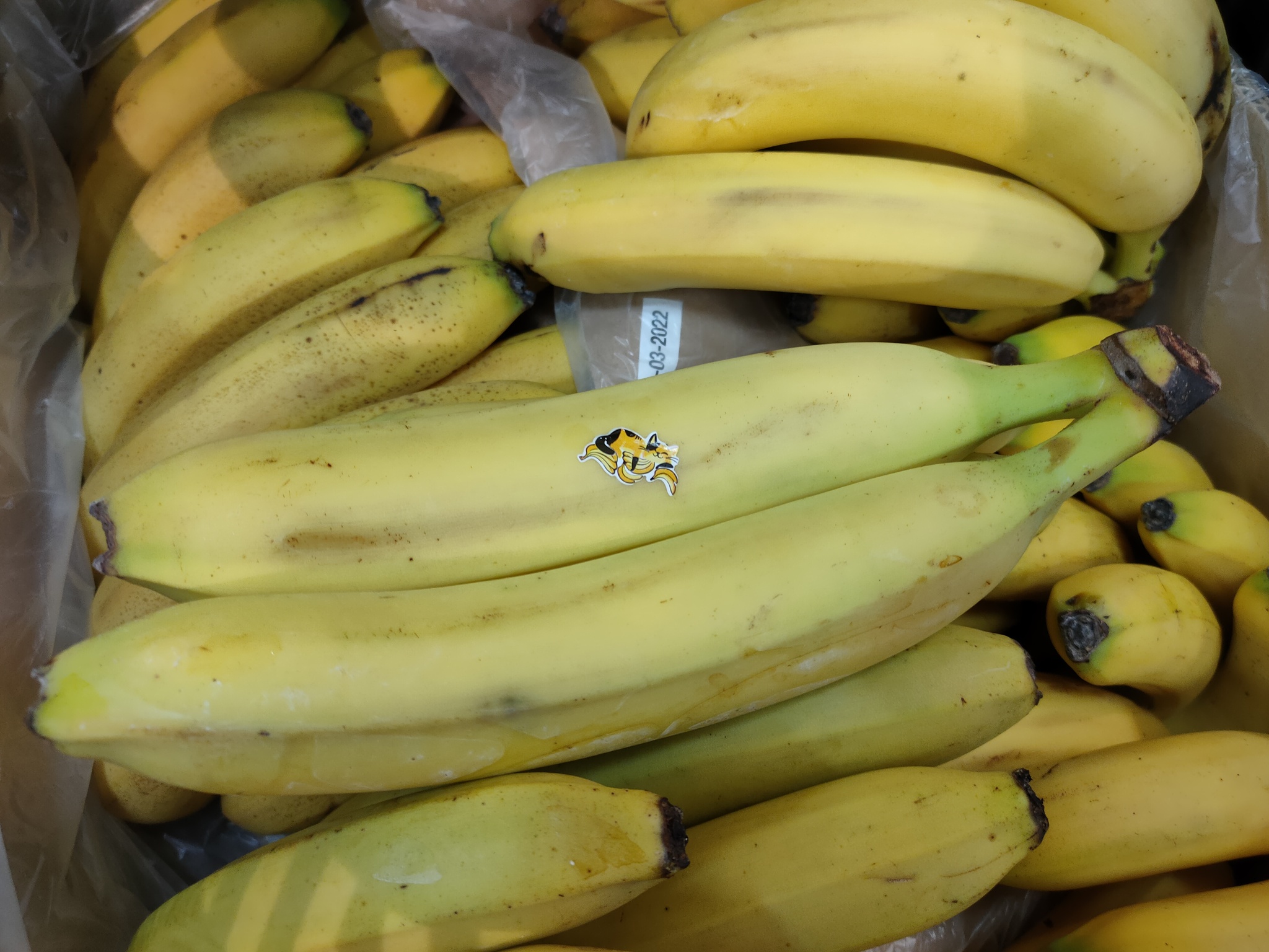 Бананьи