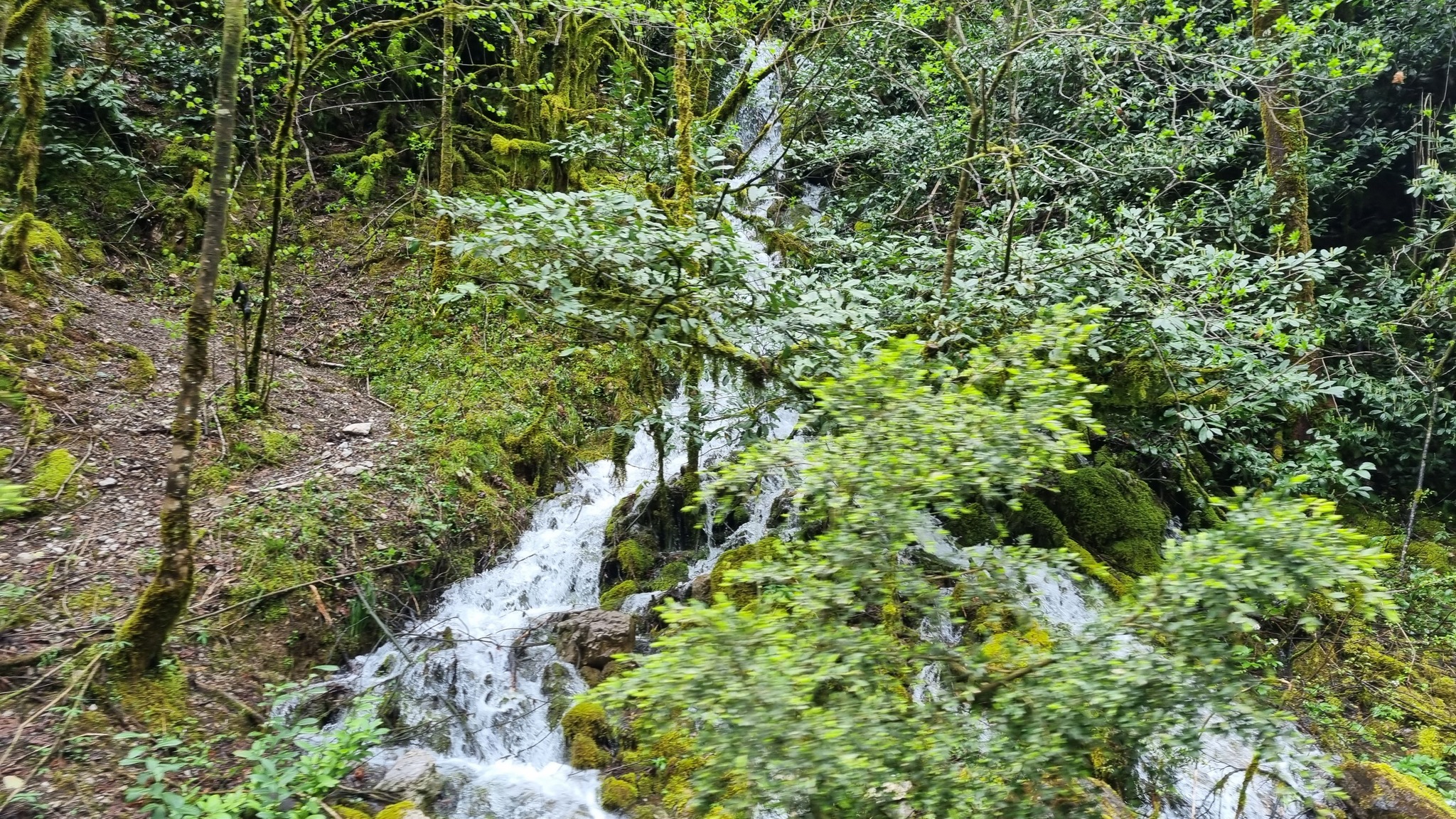 Reply to the post North of Thailand in the rainy season - My, Thailand, Chiang mai, Nature, The photo, Landscape, Reply to post, Longpost