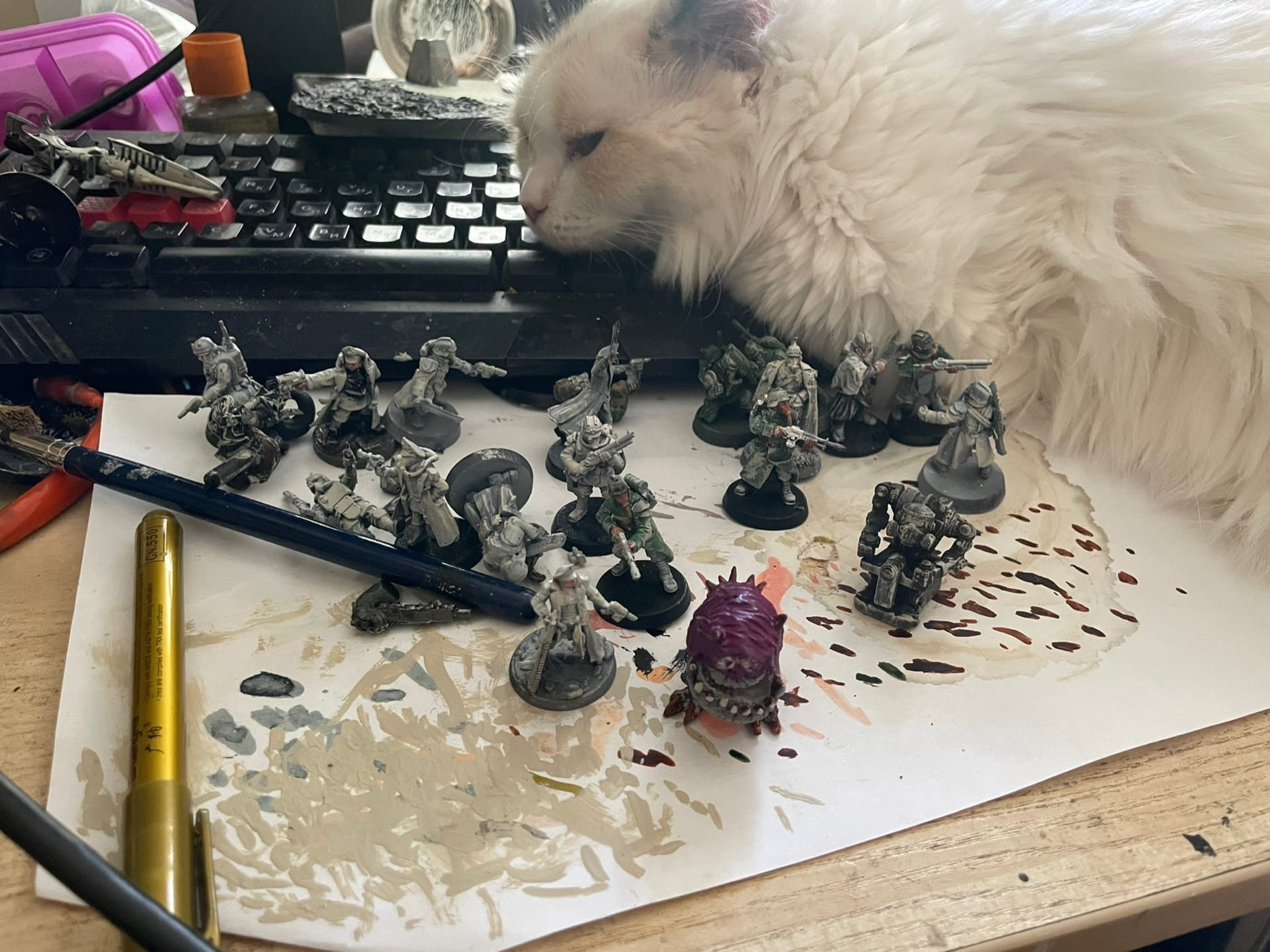 Kittens and Waha part 2 - My, Warhammer 40k, Astra Militarum, Death korps of krieg, cat, Wh miniatures