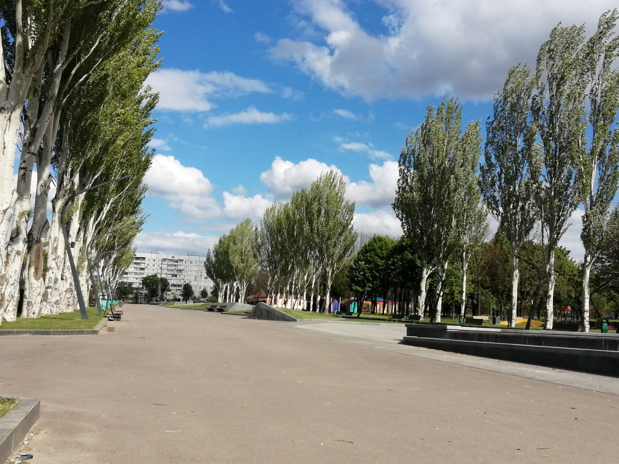 Walk in Victory Park. 05/09/2022 - My, Walk, Kharkov, The park, Linden, Mobile photography, Spring, May 9 - Victory Day, Longpost