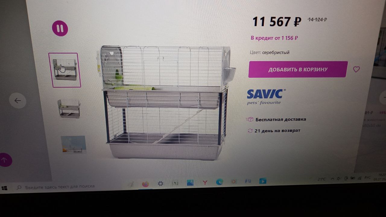 Large cage for guinea pigs - My, Guinea pig, Pets' corner, Video, Longpost