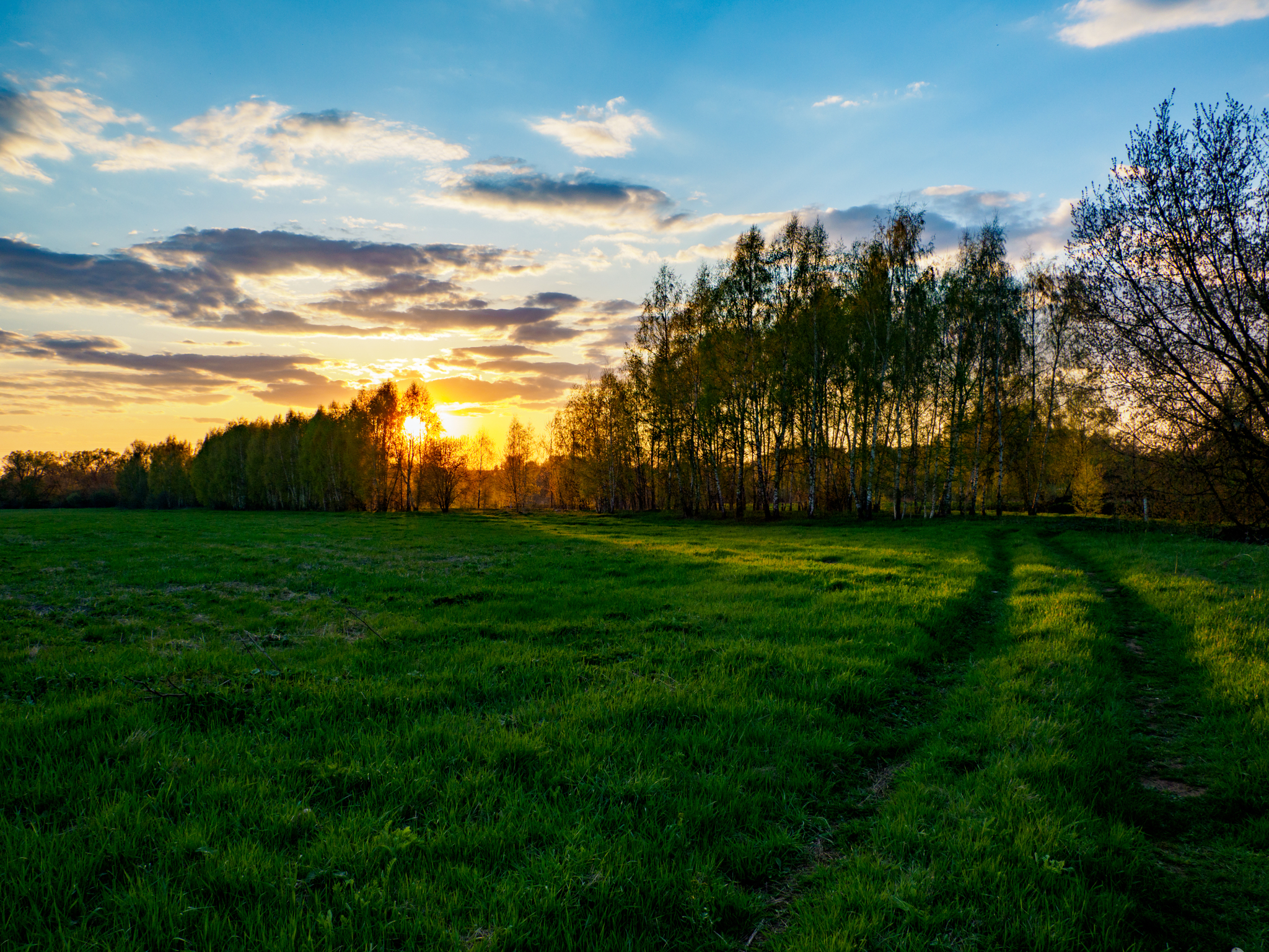 Предзакатное - Моё, Фотография, Природа России, Красота природы