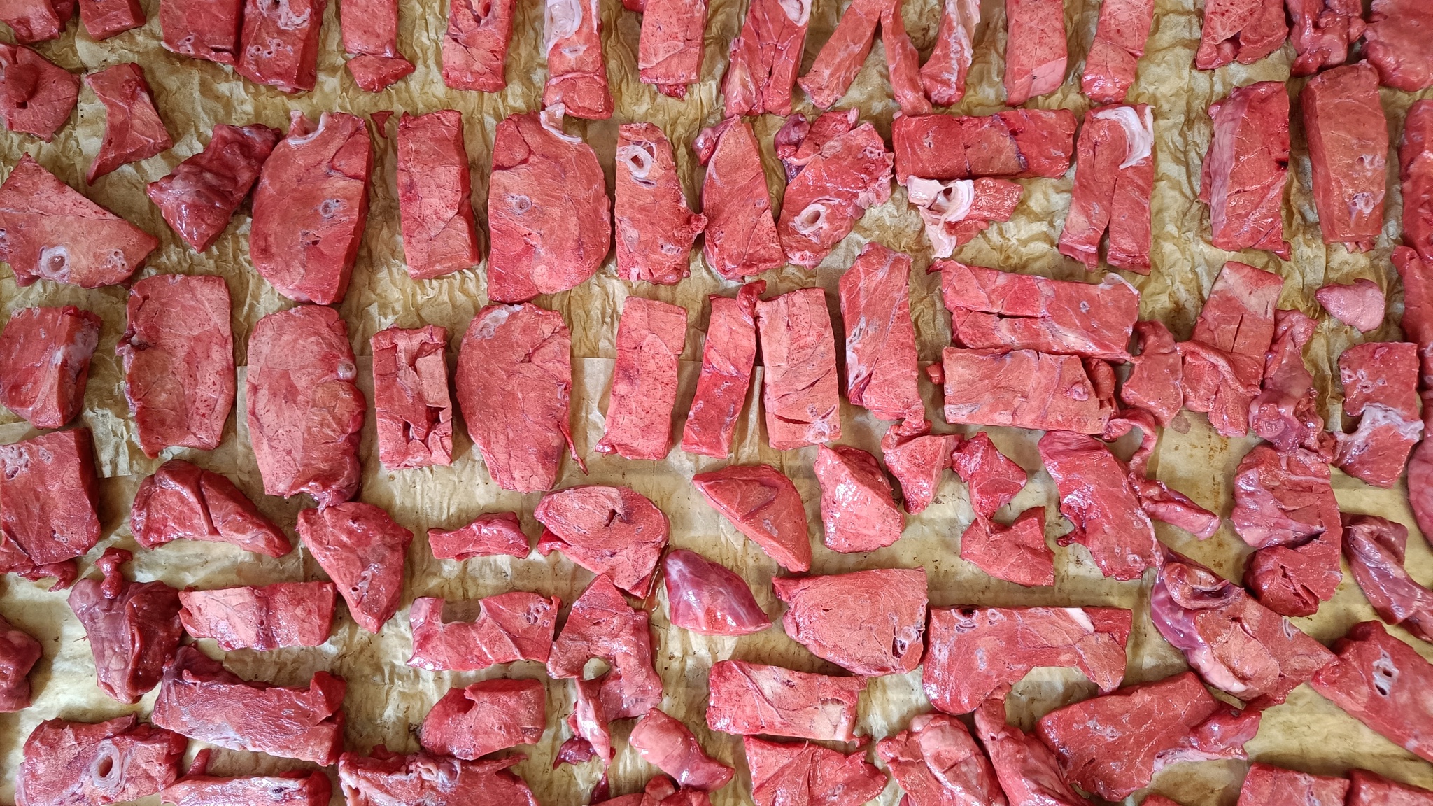 Delicious beef lung crisps for my dog - My, Dog food, Animals, Recipe, Kitchen, Pets, Spaniel, Video, Youtube, Longpost