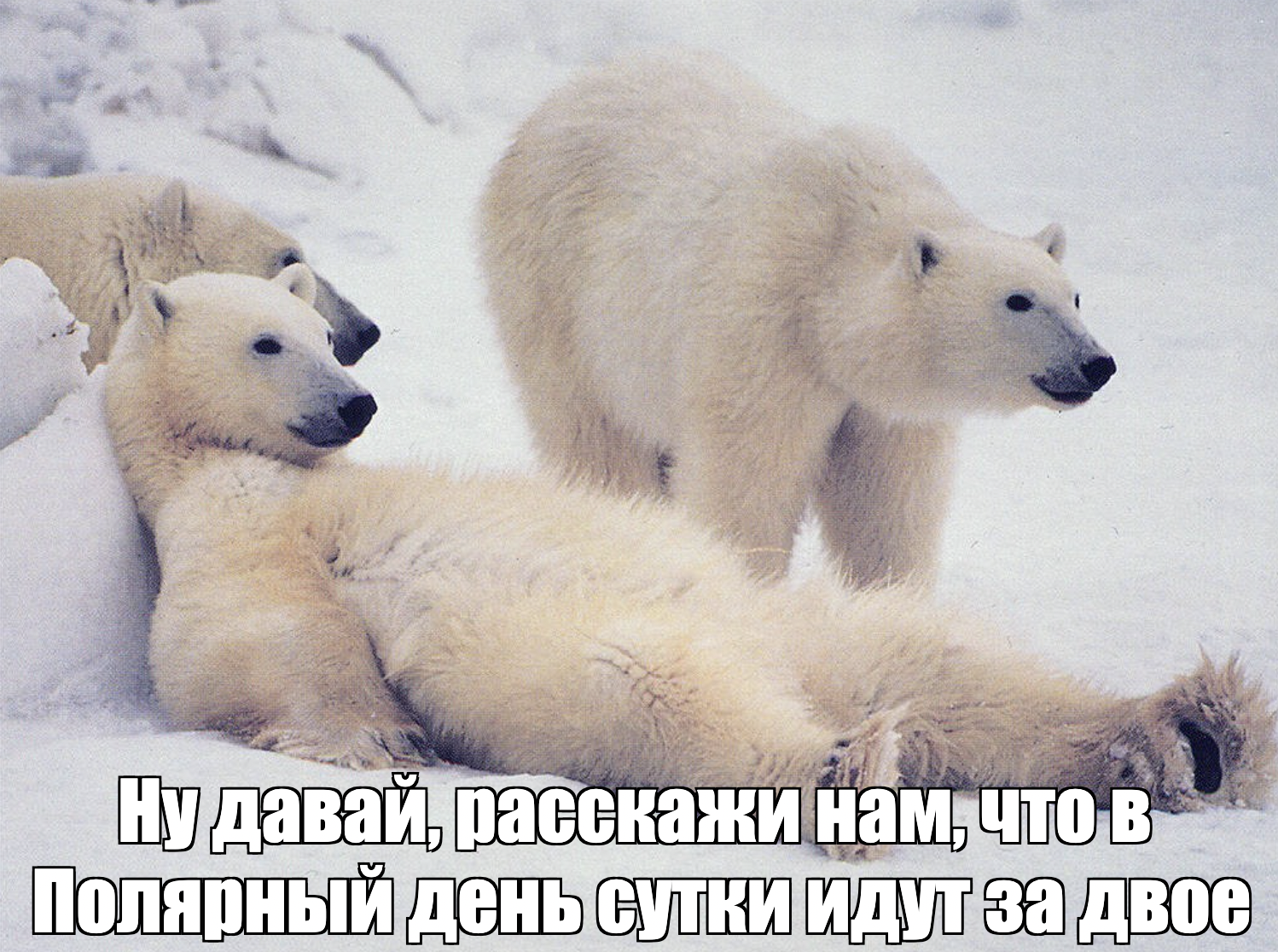 Путешествие через кротовую нору. Появились дешевые билеты в Полярный день  на выходные в июне менее чем 8 тыс. рублей | Пикабу