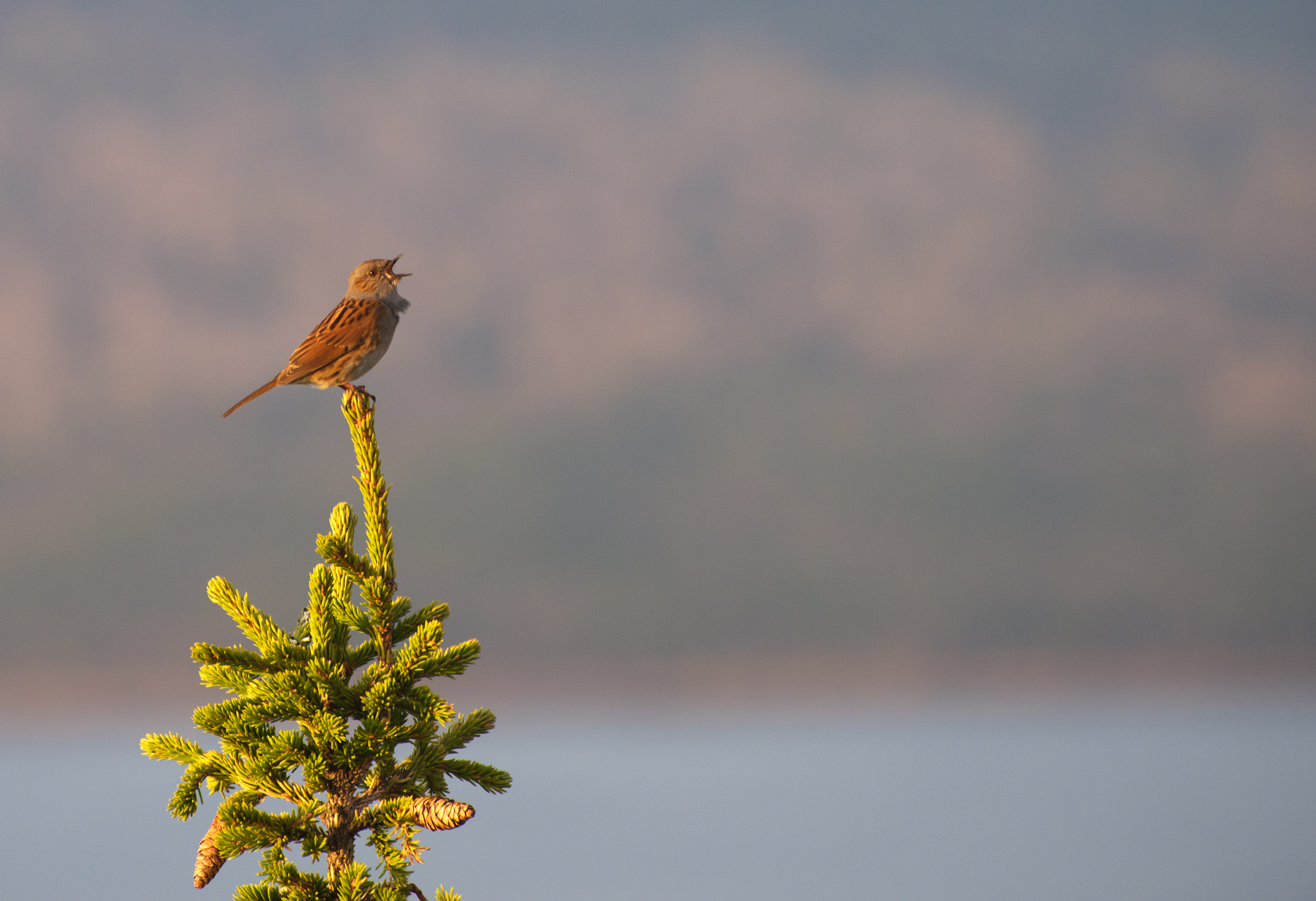 Good morning! - My, The nature of Russia, Lake, Ural, beauty of nature, The photo, Zyuratkul, Nikon