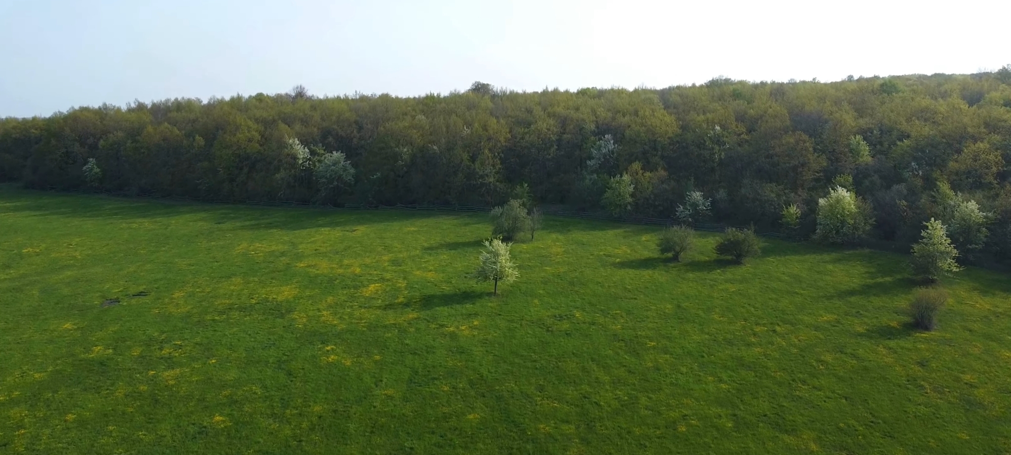 Natural Park of Wonders - Kudykina Gora - My, Kudykina Mountain, Quadcopter, Dragon, Video, Youtube, Longpost