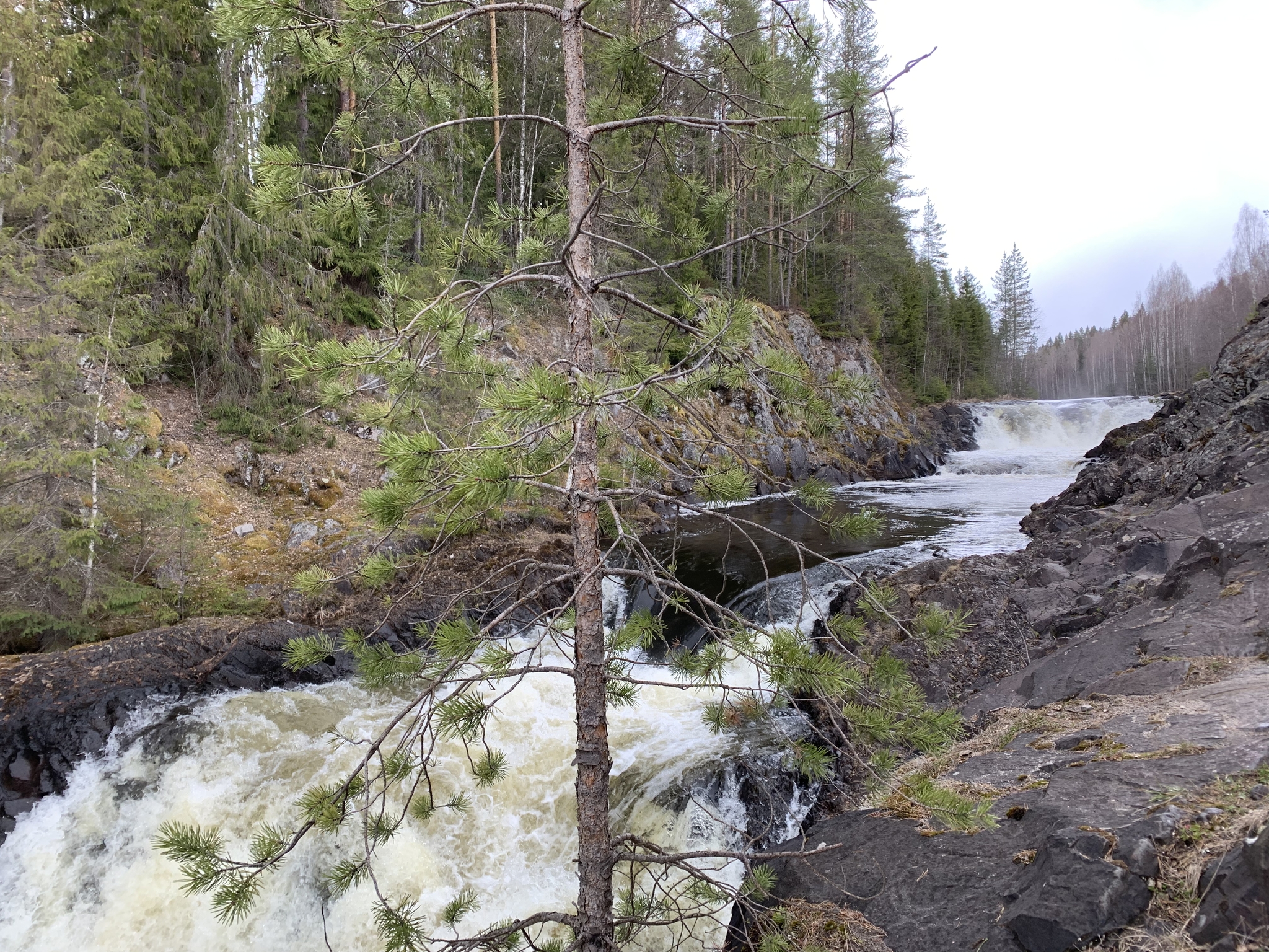 Beauty of Karelia - My, Travels, Relaxation, Road trip, Карелия, Waterfall, Reserves and sanctuaries, Road, Petrozavodsk, Saint Petersburg, Hydroelectric power station, Sunset, Holidays, Russia, Longpost