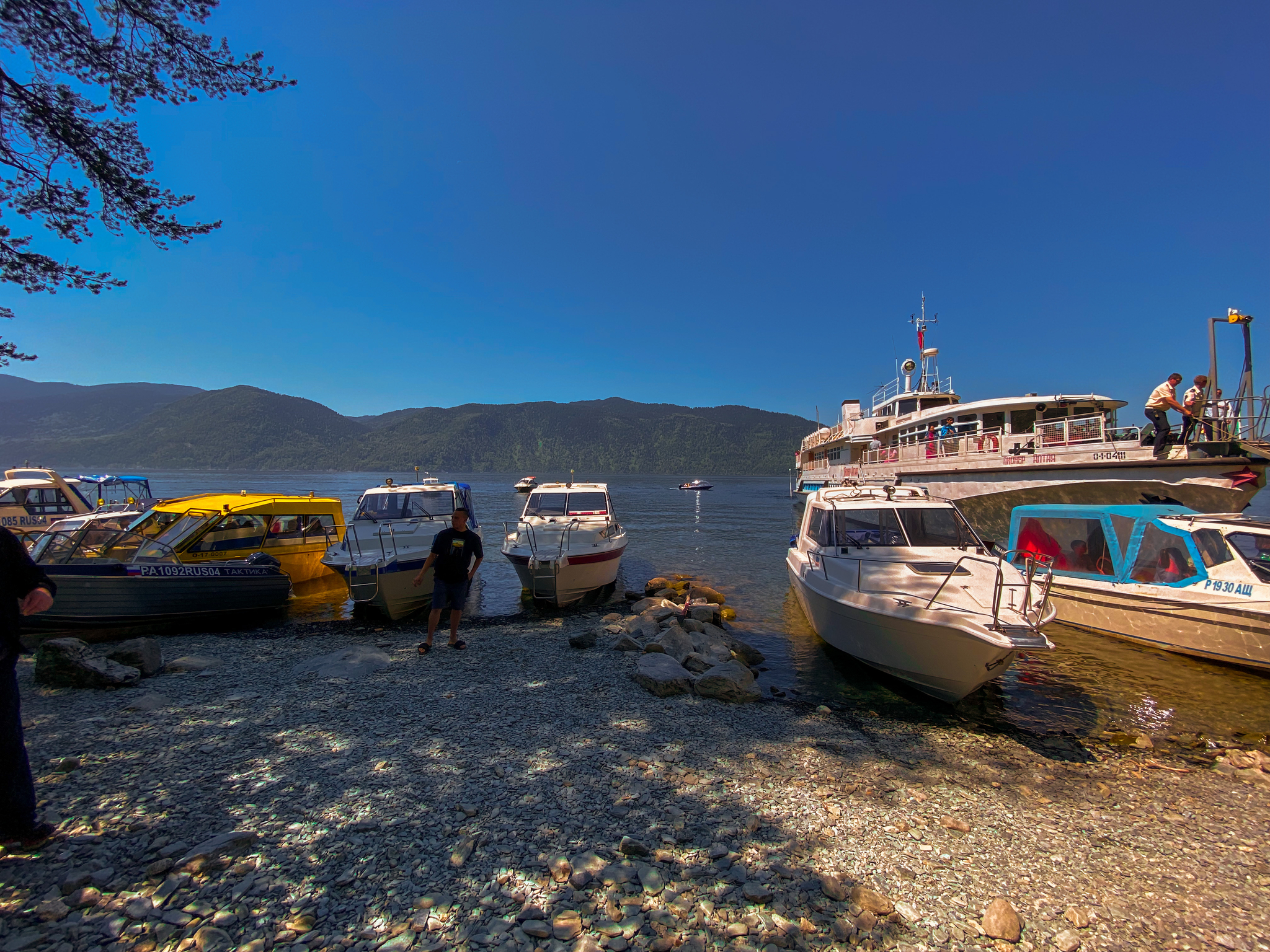 Photos from Teletskoye Lake - My, Altai Republic, Teletskoe lake, Mobile photography, Longpost