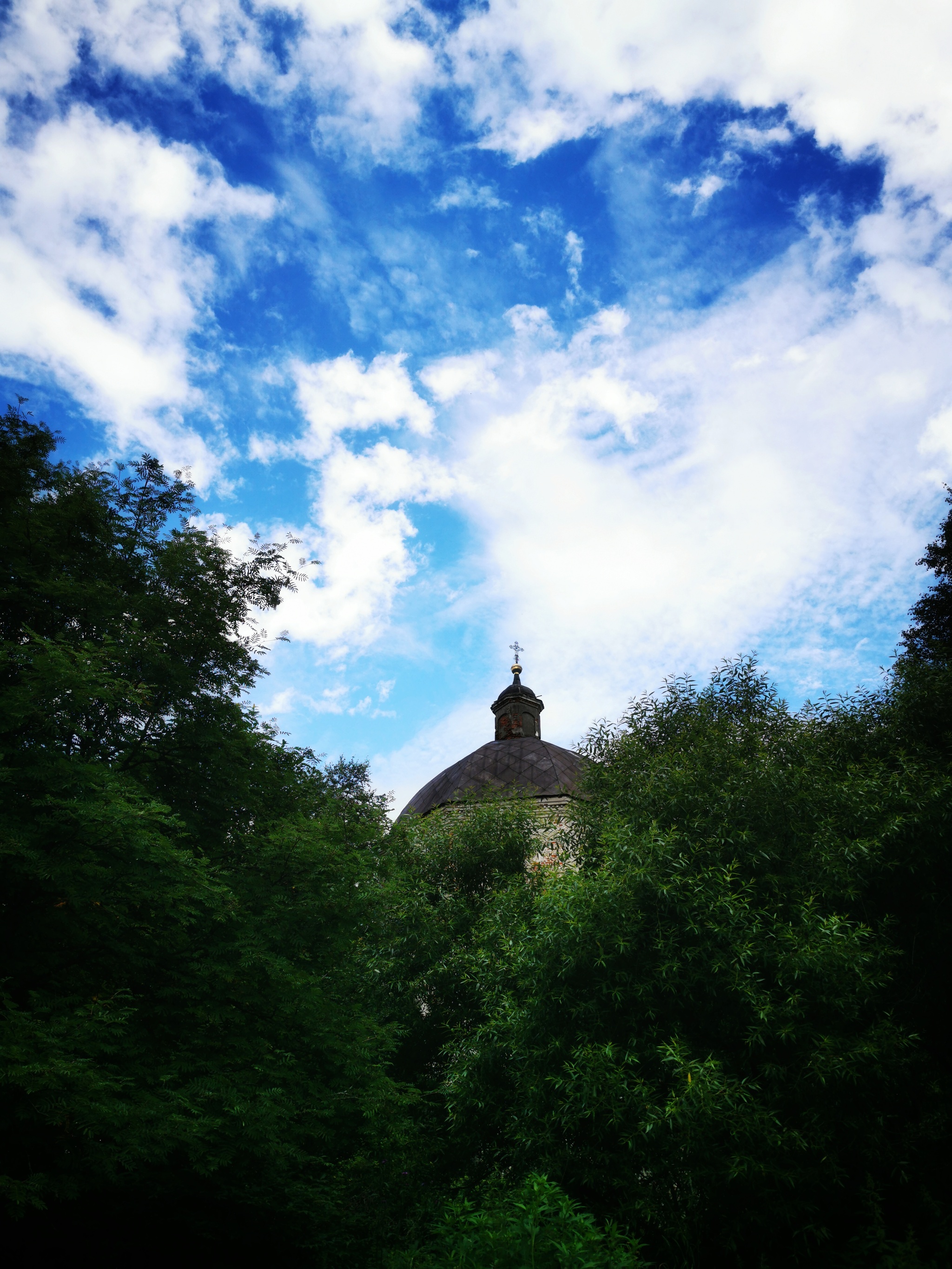 The sadness of forgotten villages - My, Abandoned, Village, Sadness, Nature, Longpost, The photo