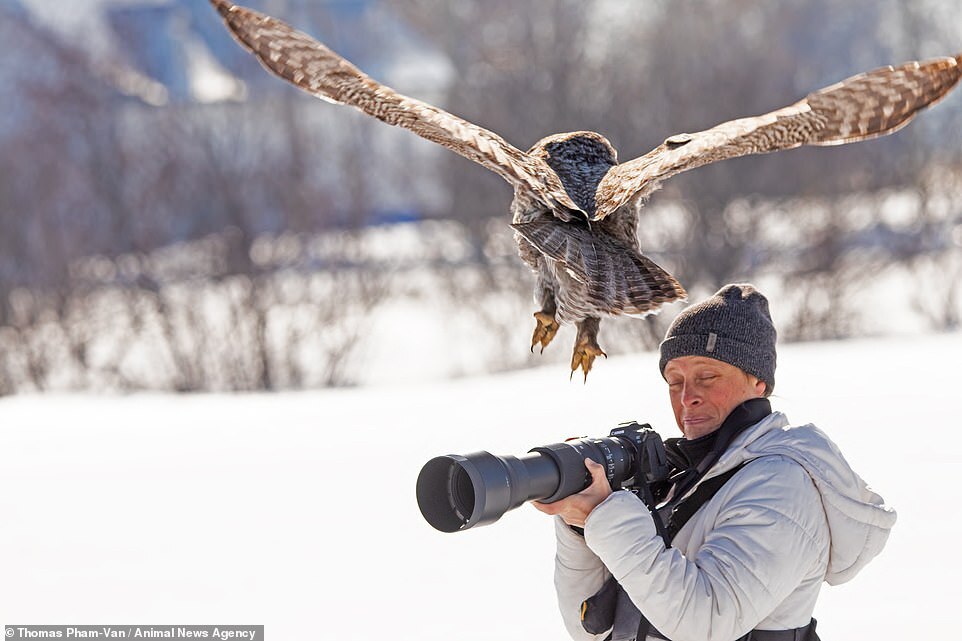 Помощник фотографа | Пикабу