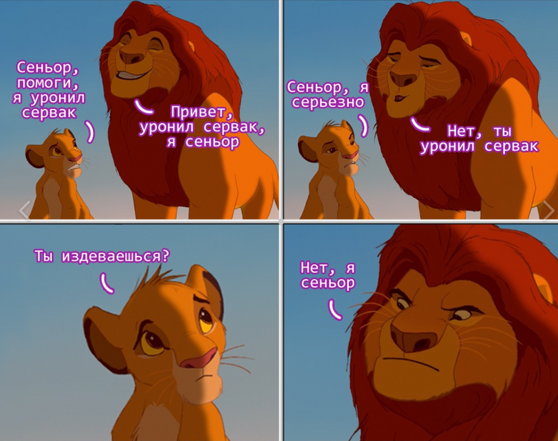 Senor, ; drop table users; ,I dropped the server - IT humor, The lion king, Picture with text